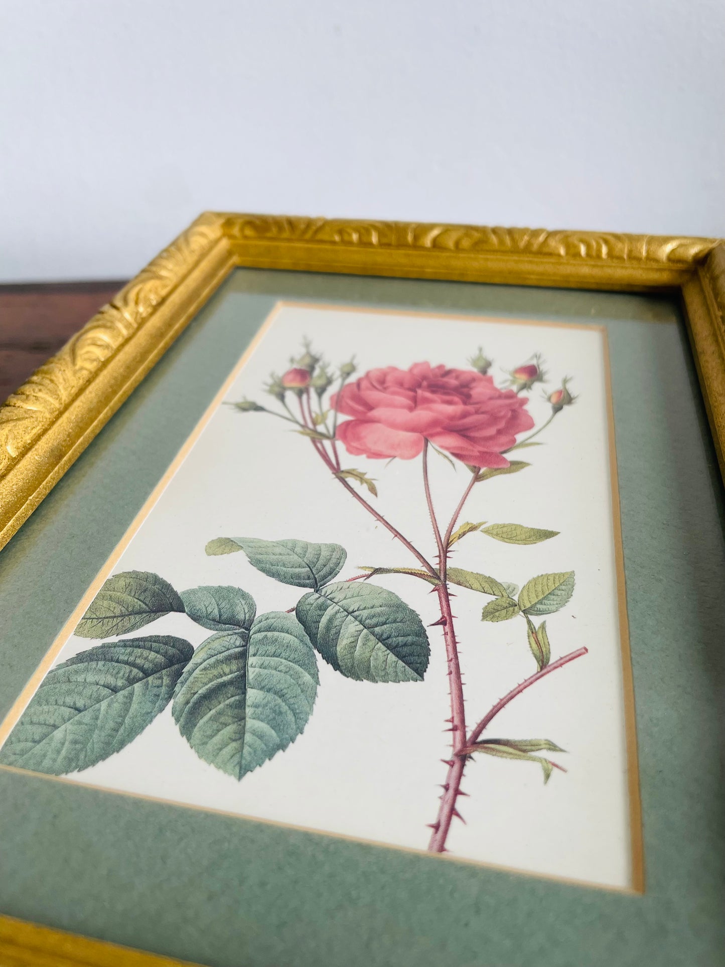 Vintage Framed Botanical Rose Flower Print Picture - Rosa Centifolia Anglica Rubra Illustration by Pierre-Joseph Redouté