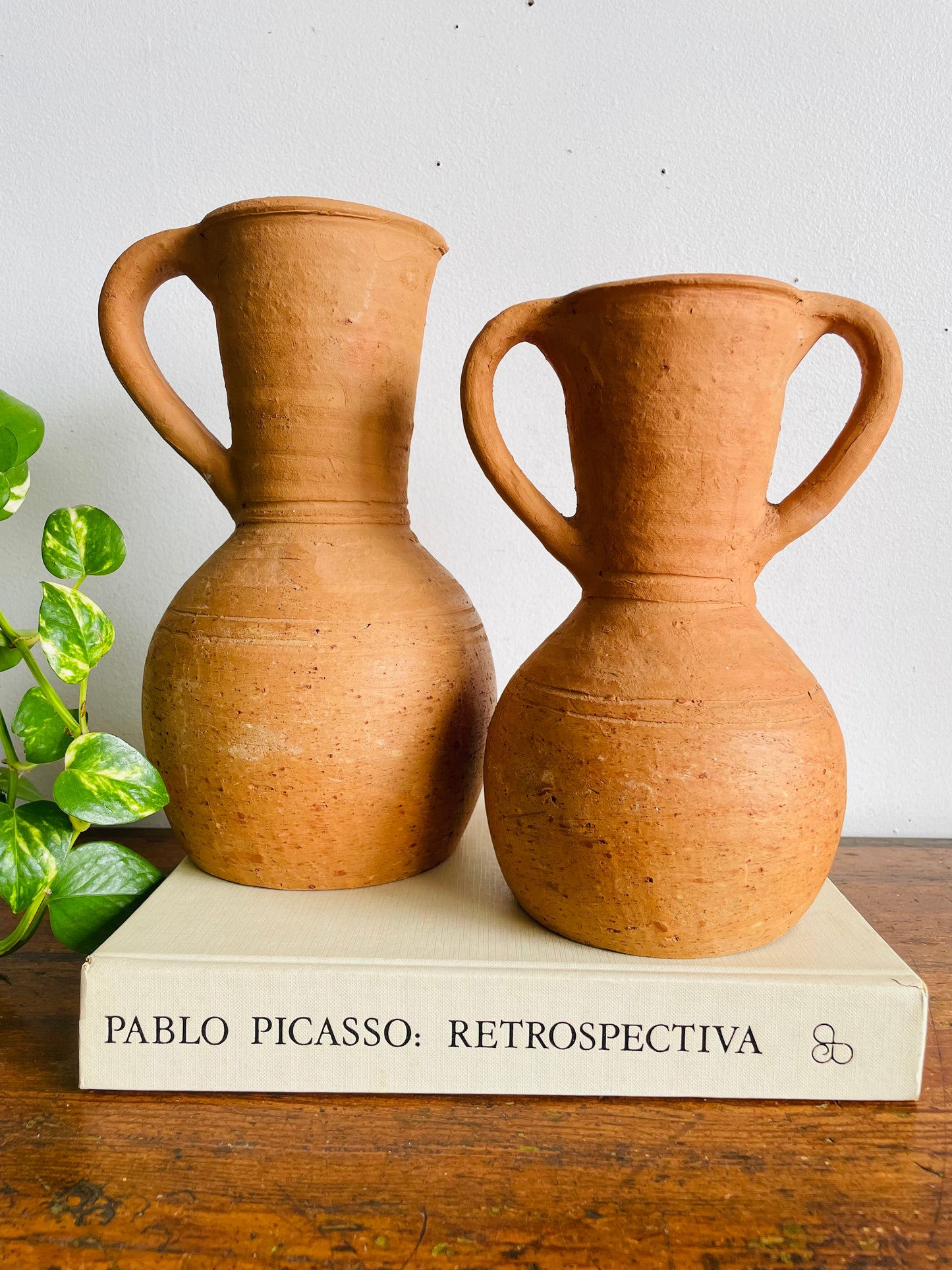 Vintage Rustic Earthenware Terracotta Clay Pitcher Jug Amphora Vase with Two Handles