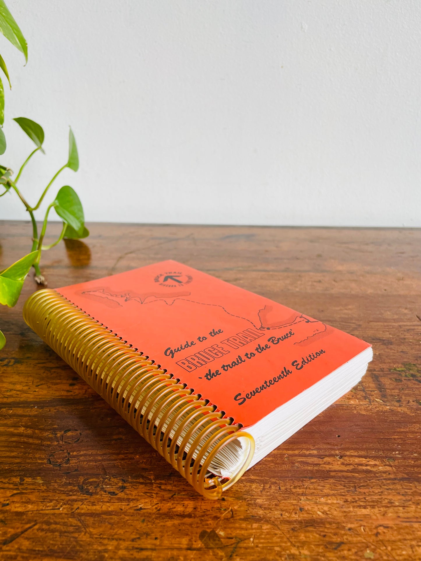 Vintage Guide to The Bruce Trail Spiral Bound Book - Seventeenth Edition (1990)