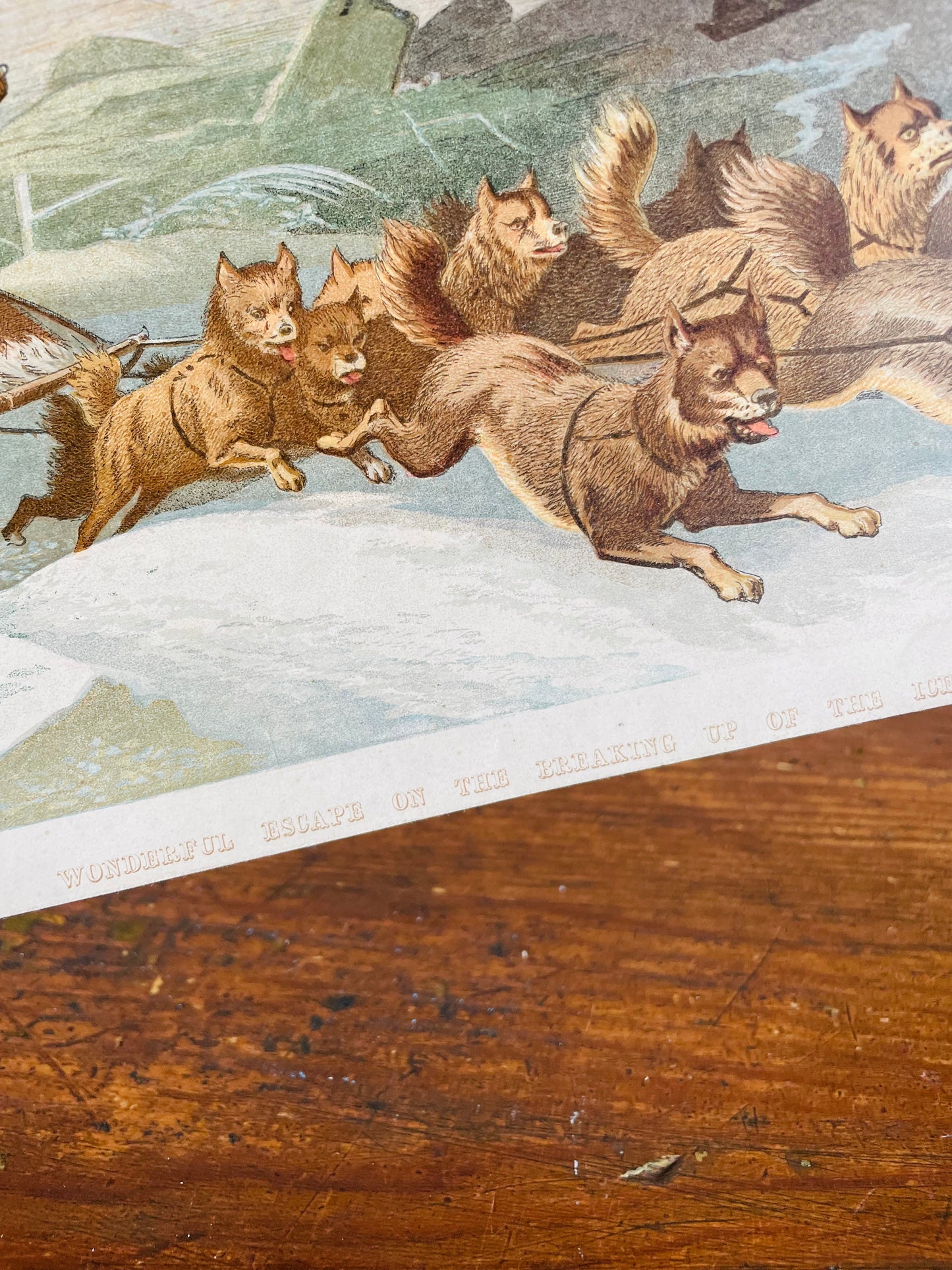 Vintage Lithograph Print Picture - "Wonderful Escape on the Breaking Up of the Ice" with Dog Sled Team in Arctic - Kronheim and Co., London