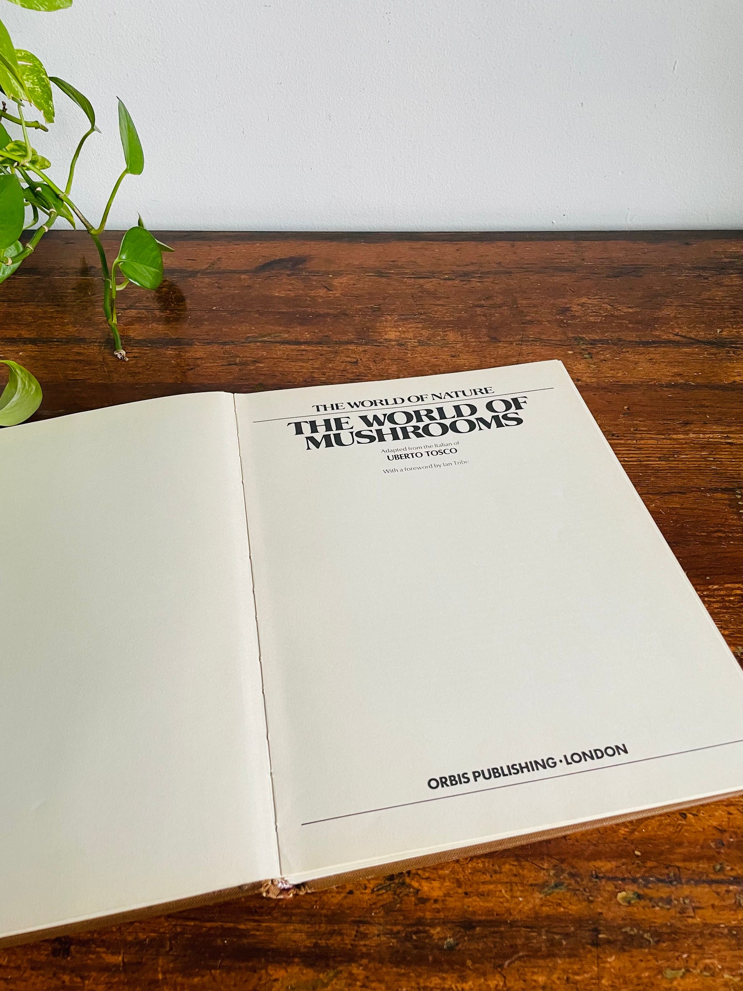 Vintage The World of Mushrooms Hardcover Coffee Table Book - Adapted from the Italian of Uberto Tosco (1973)