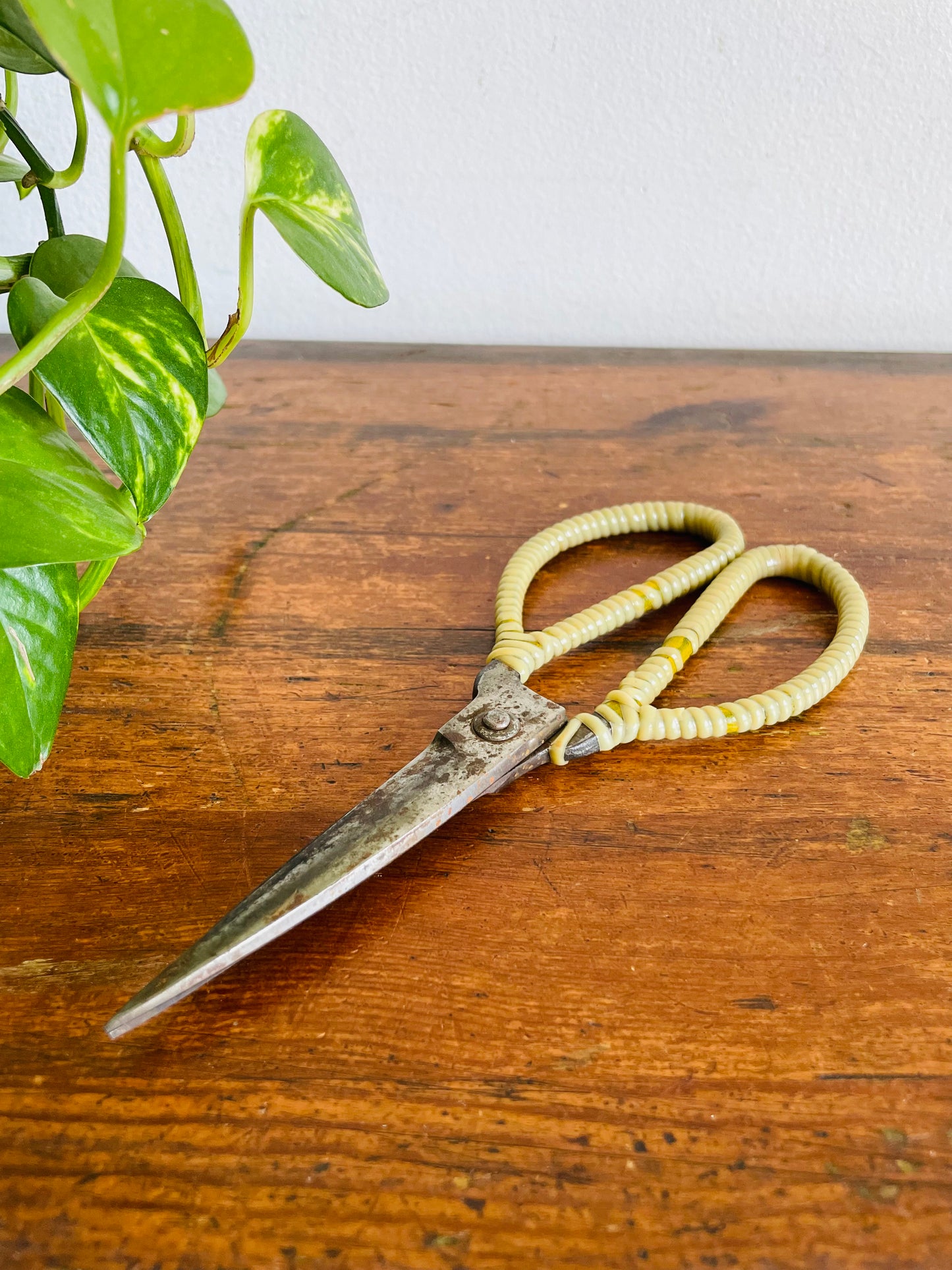 Vintage Metal Scissor Shears