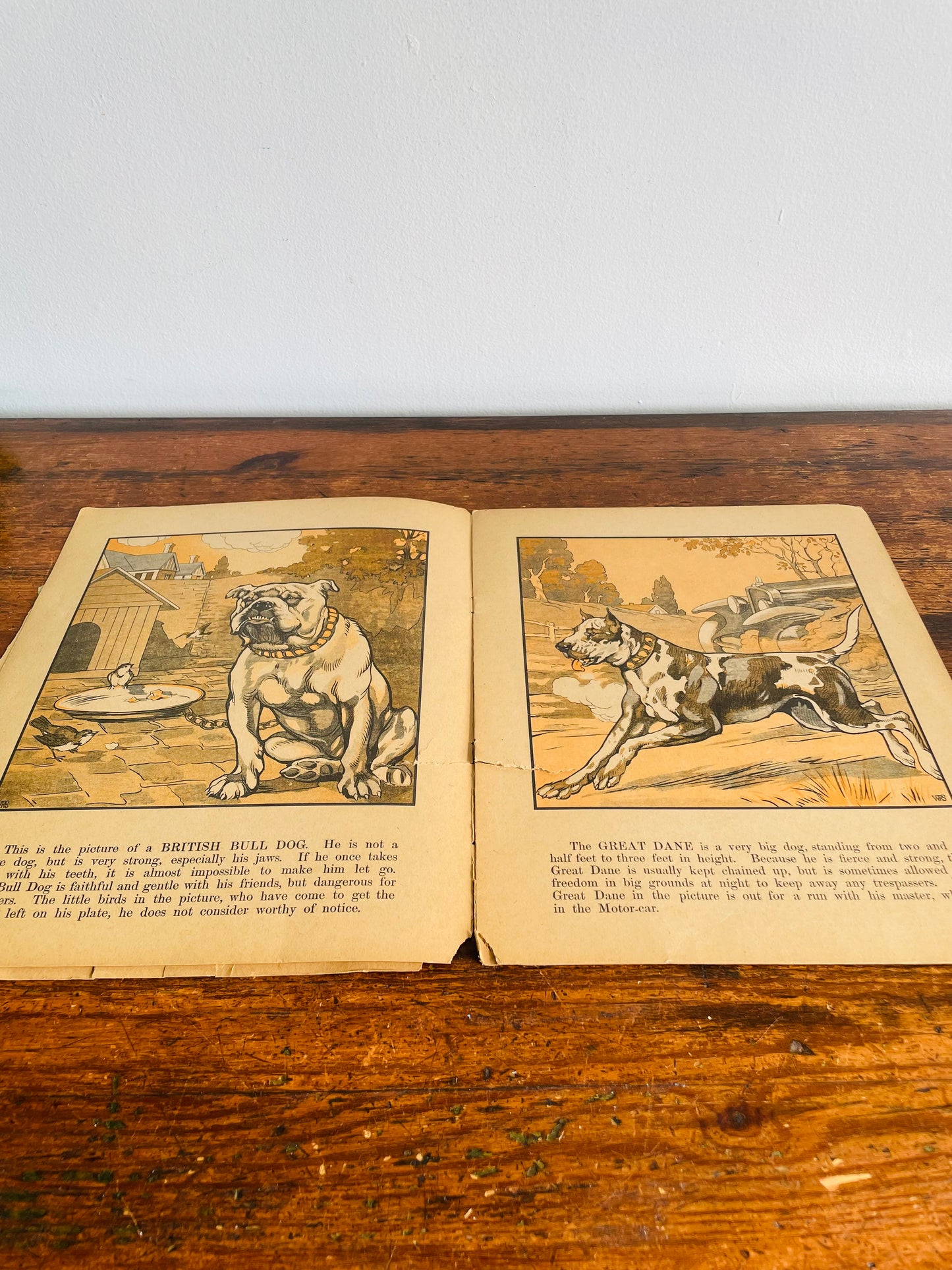 Antique A Book of Dogs - The Canada Games Co. (1921) - Fantastic Illustrations for Prints & Framing!