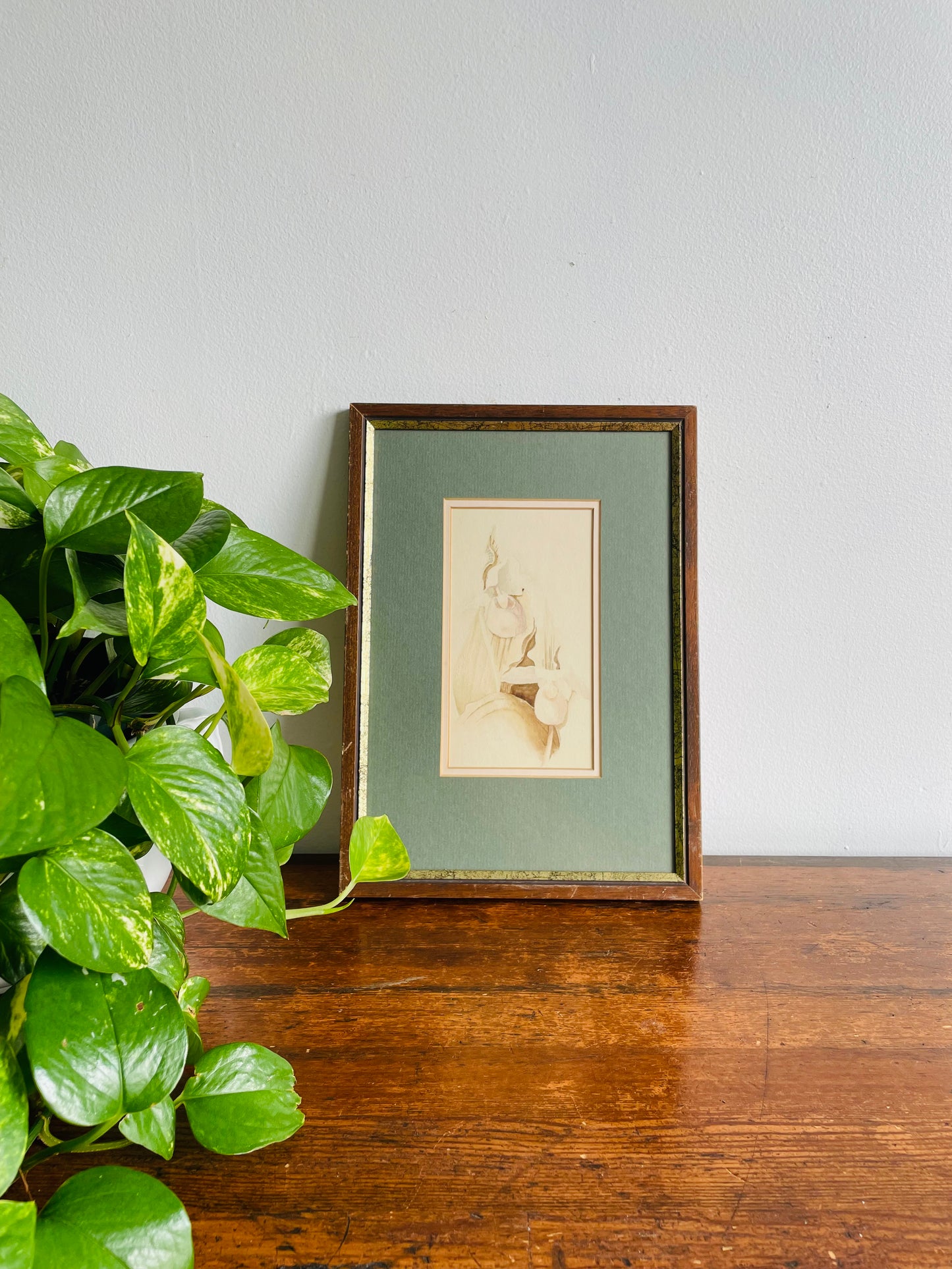 Beautiful Framed Picture of Watercolour Sketch of Iris Flowers