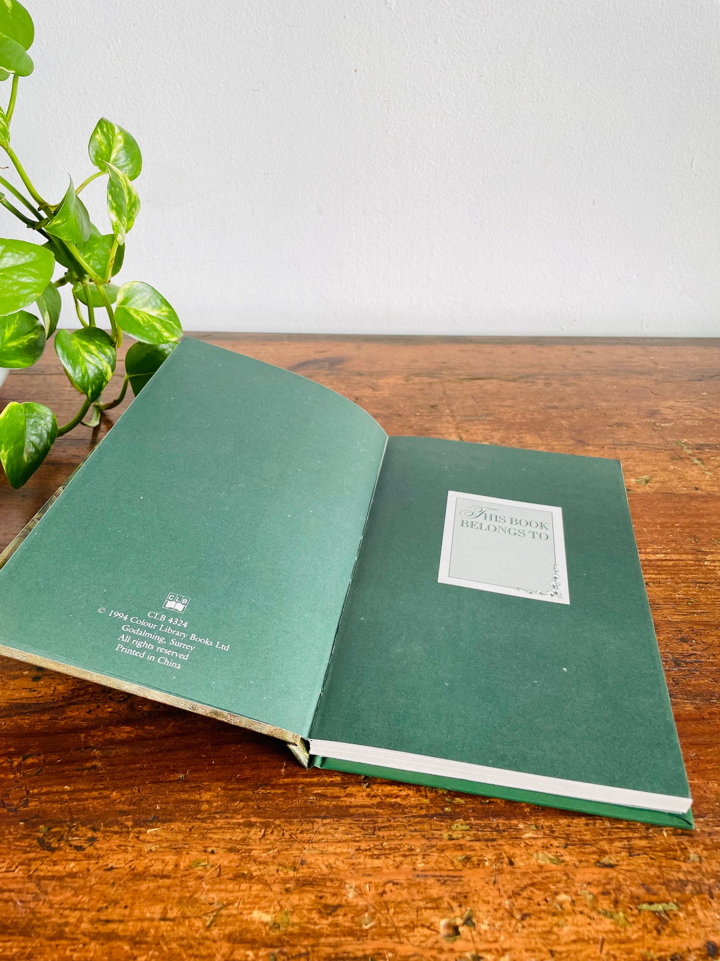Vintage The Cottage Garden Collection Any Year Diary - Blank Inside / Brand New Condition (1994)