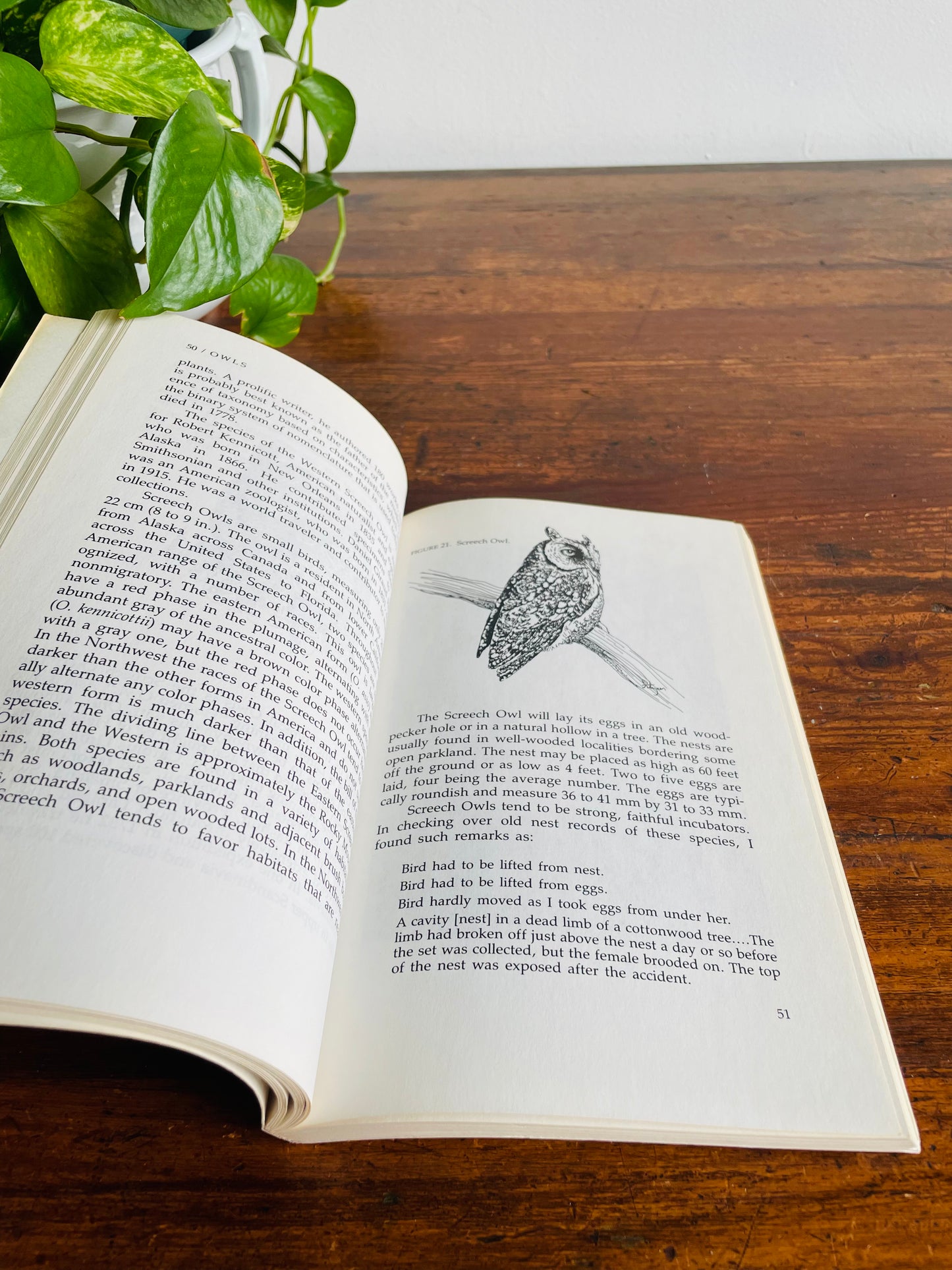 Owls: An Introduction for the Amateur Naturalist Book by Gordon Dee Alcorn (1986)