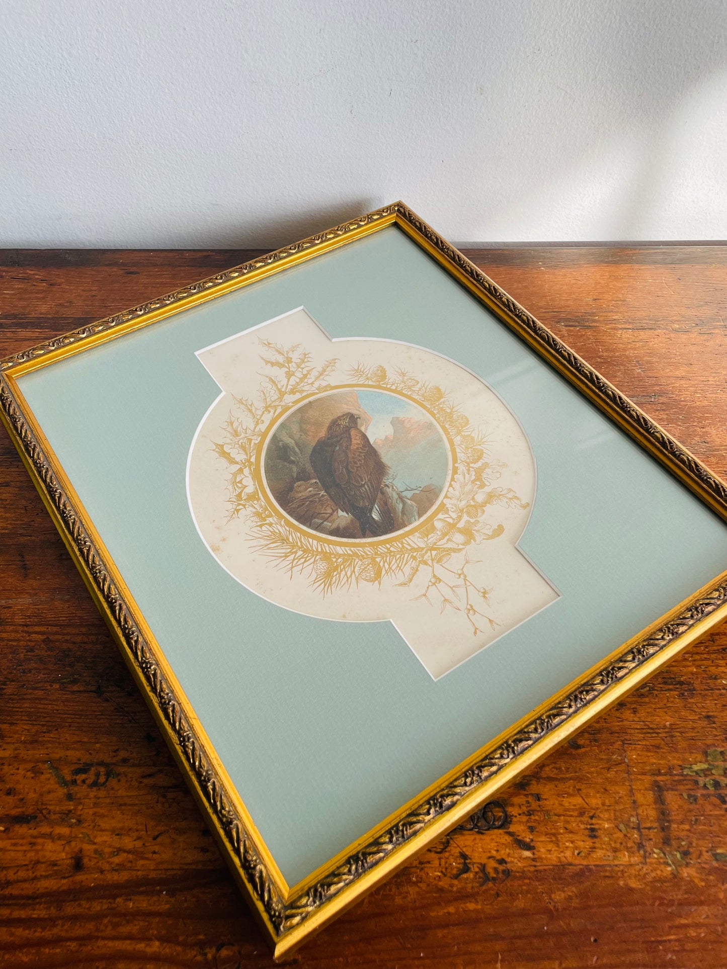 Vintage Illustrated Print Picture of Golden Eagle Bird with Chicks in Nest Overlooking Mountains - Gold Frame & Details, Unique Mat & Professionally Framed - Stunning Colours!