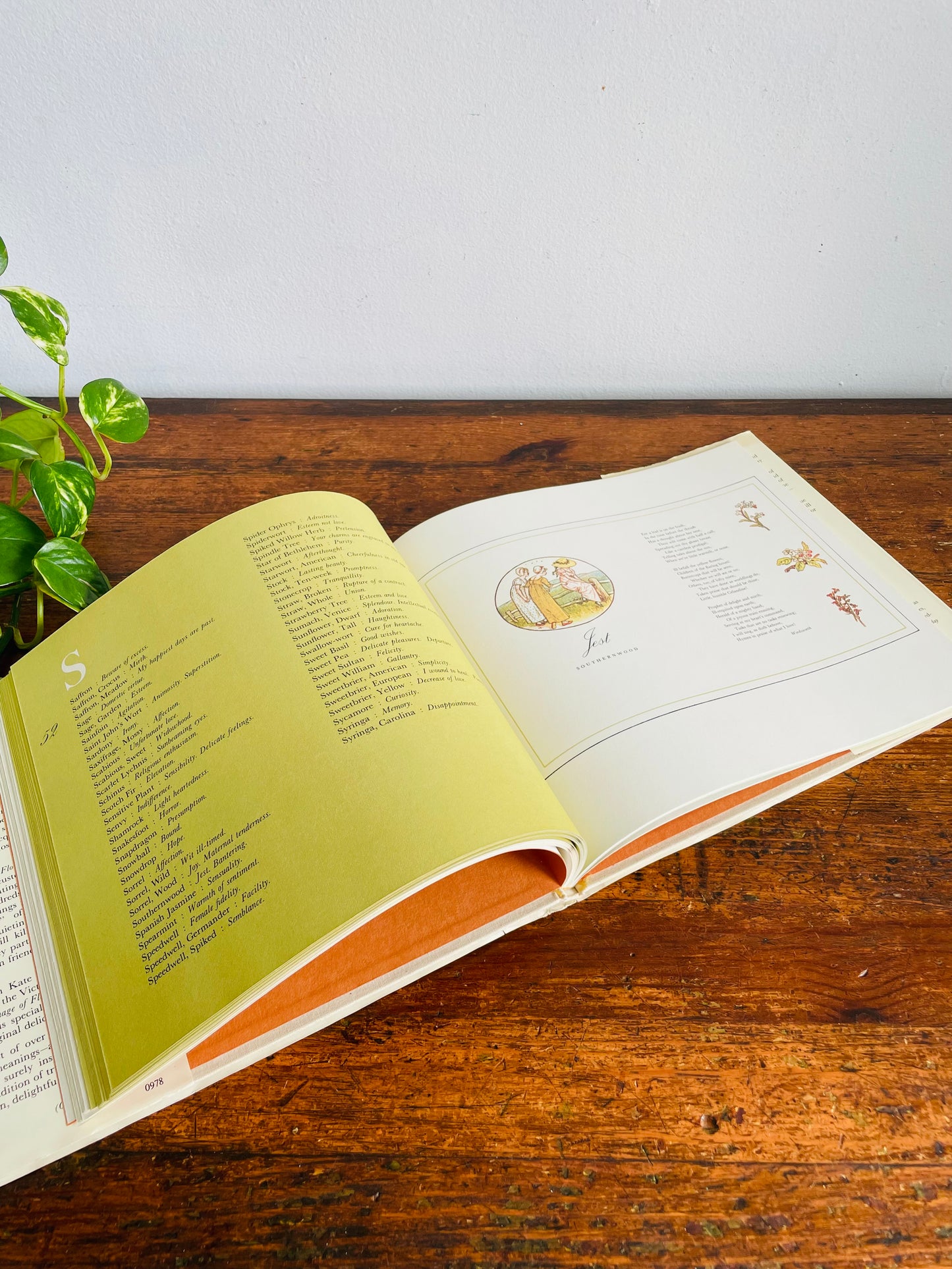 Vintage The Illuminated Language of Flowers Hardcover Book Illustrated by Kate Greenaway with Text by Jean Marsh (1978)