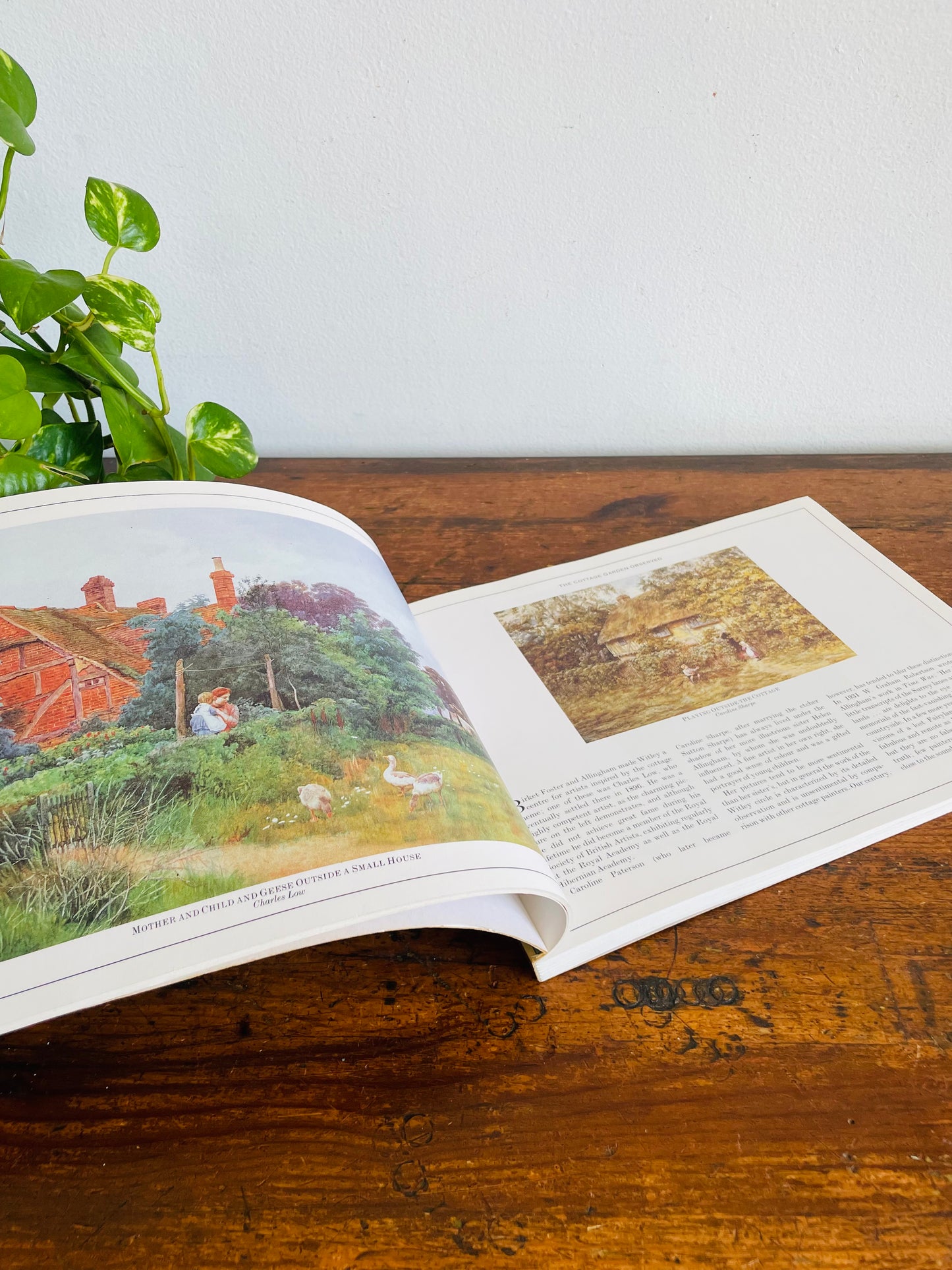 Vintage Victorian Flower Gardens Book by Andrew Clayton-Payne & Brent Elliott - Gorgeous Illustrations! (1988)
