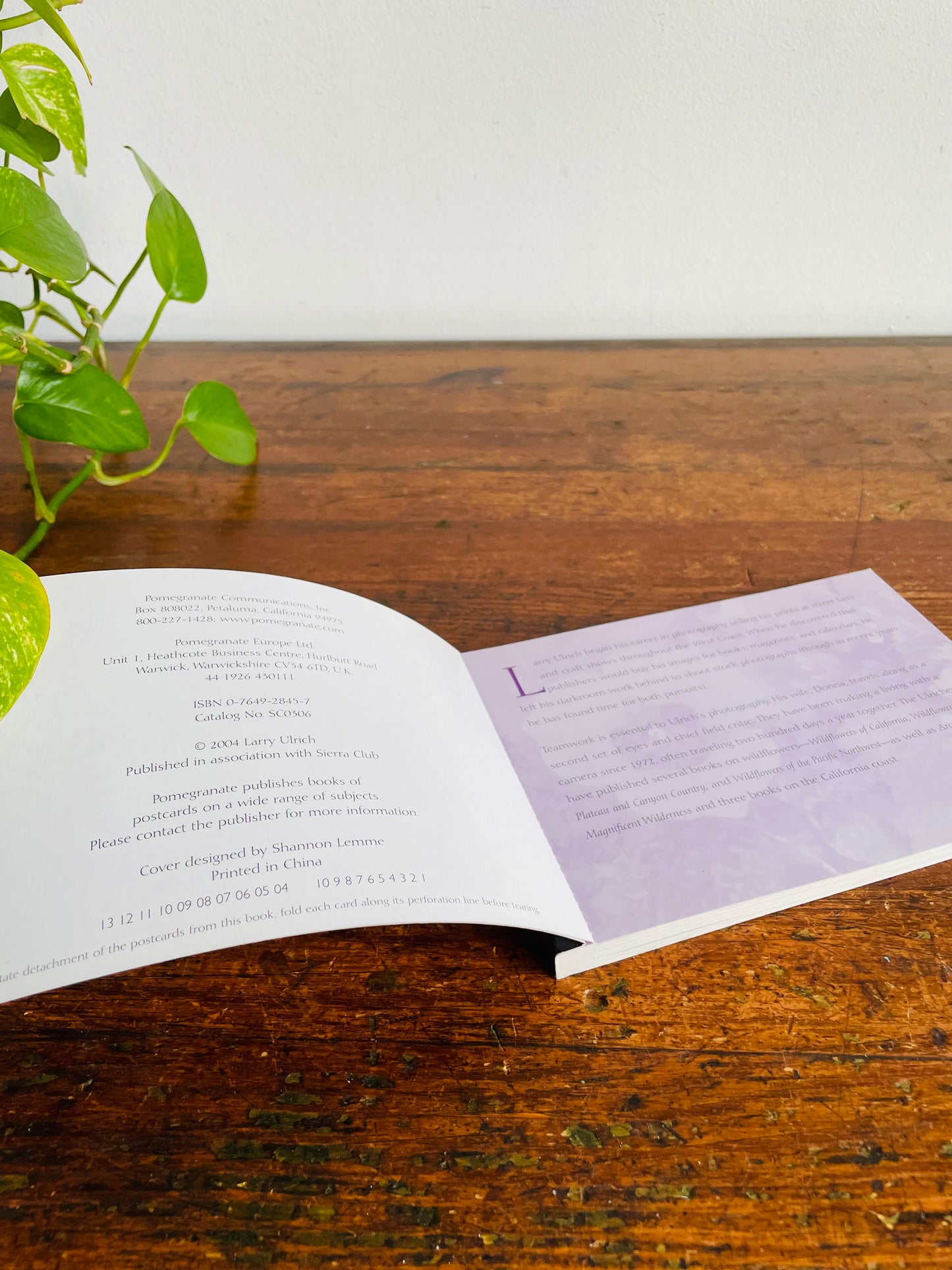 Vintage Sierra Club Book of Wildflower Postcards - Larry Ulrich Photography (2004) - Includes 23 Flower Postcards