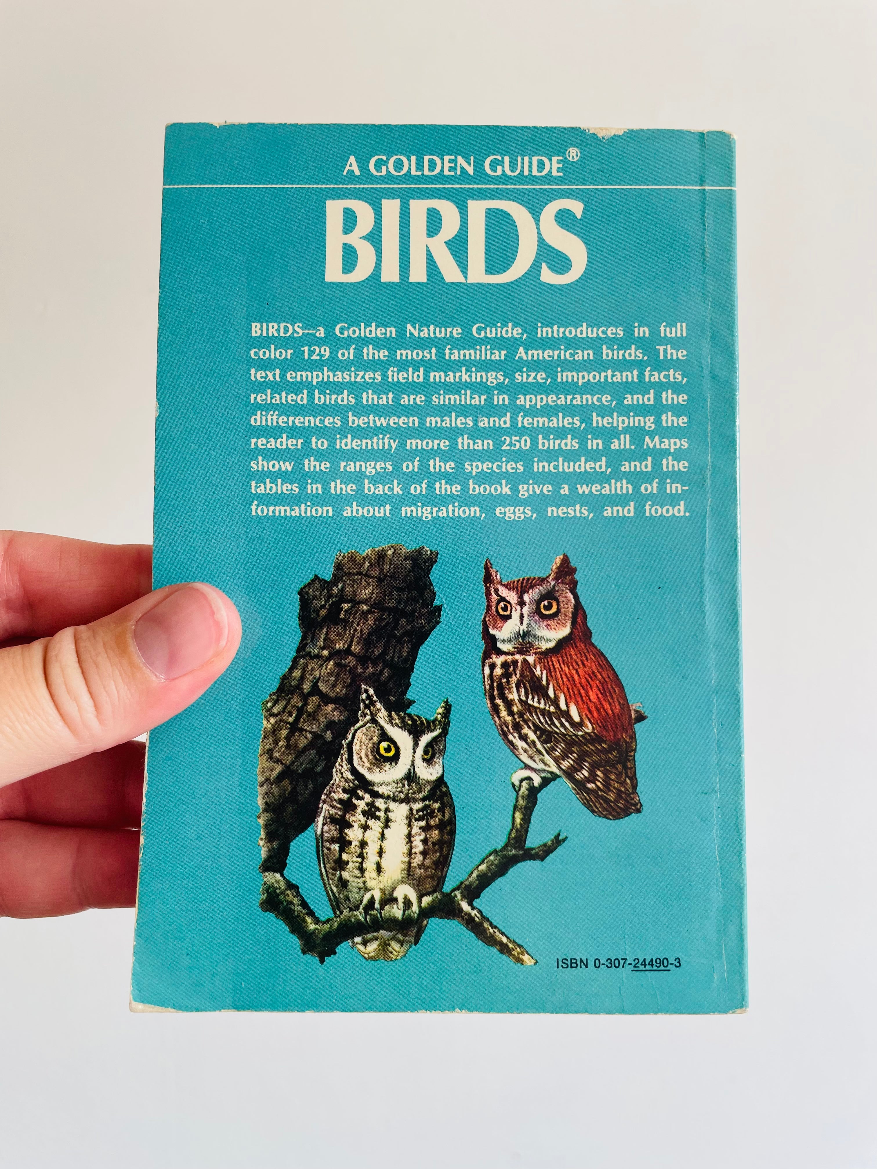 A Golden Guide Birds Pocketbook 1956 Greenbrier Vintage