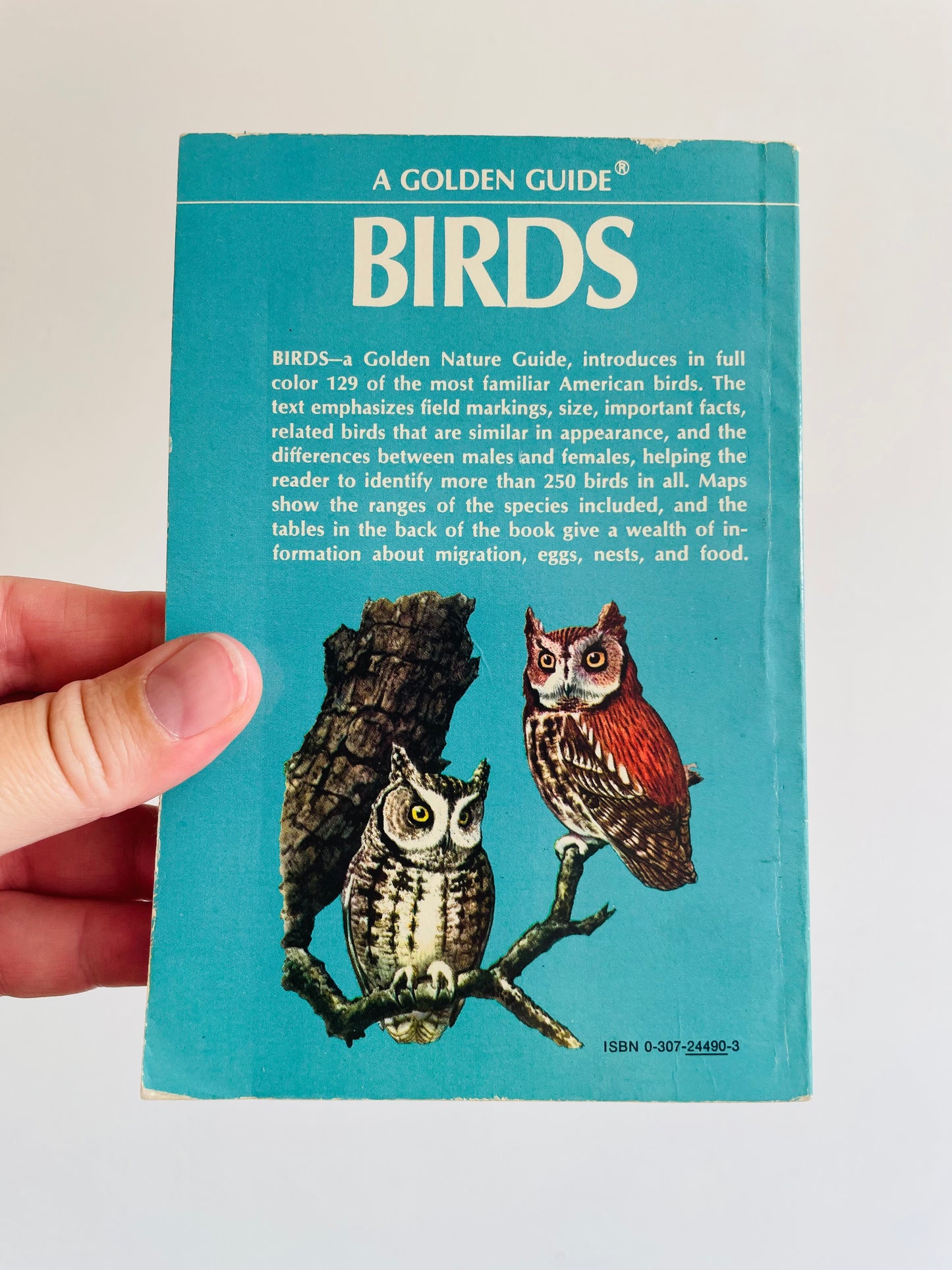 A Golden Guide Birds Pocketbook (1956)