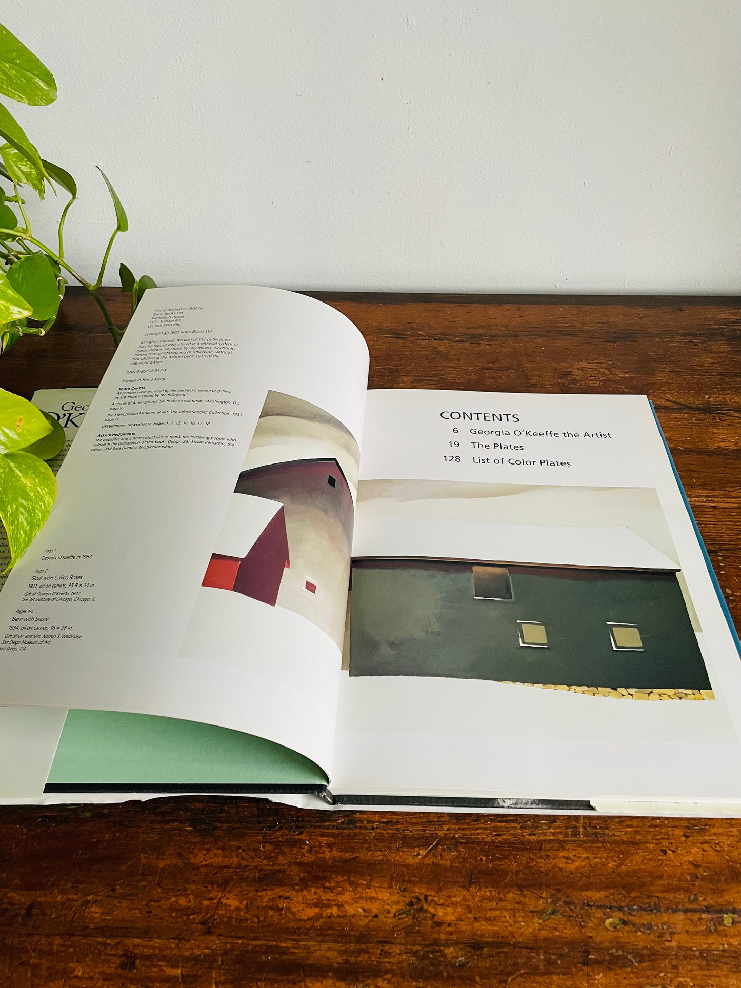 Vintage Georgia O'Keeffe Hardcover Coffee Table Book by Elizabeth Montgomery (1992)