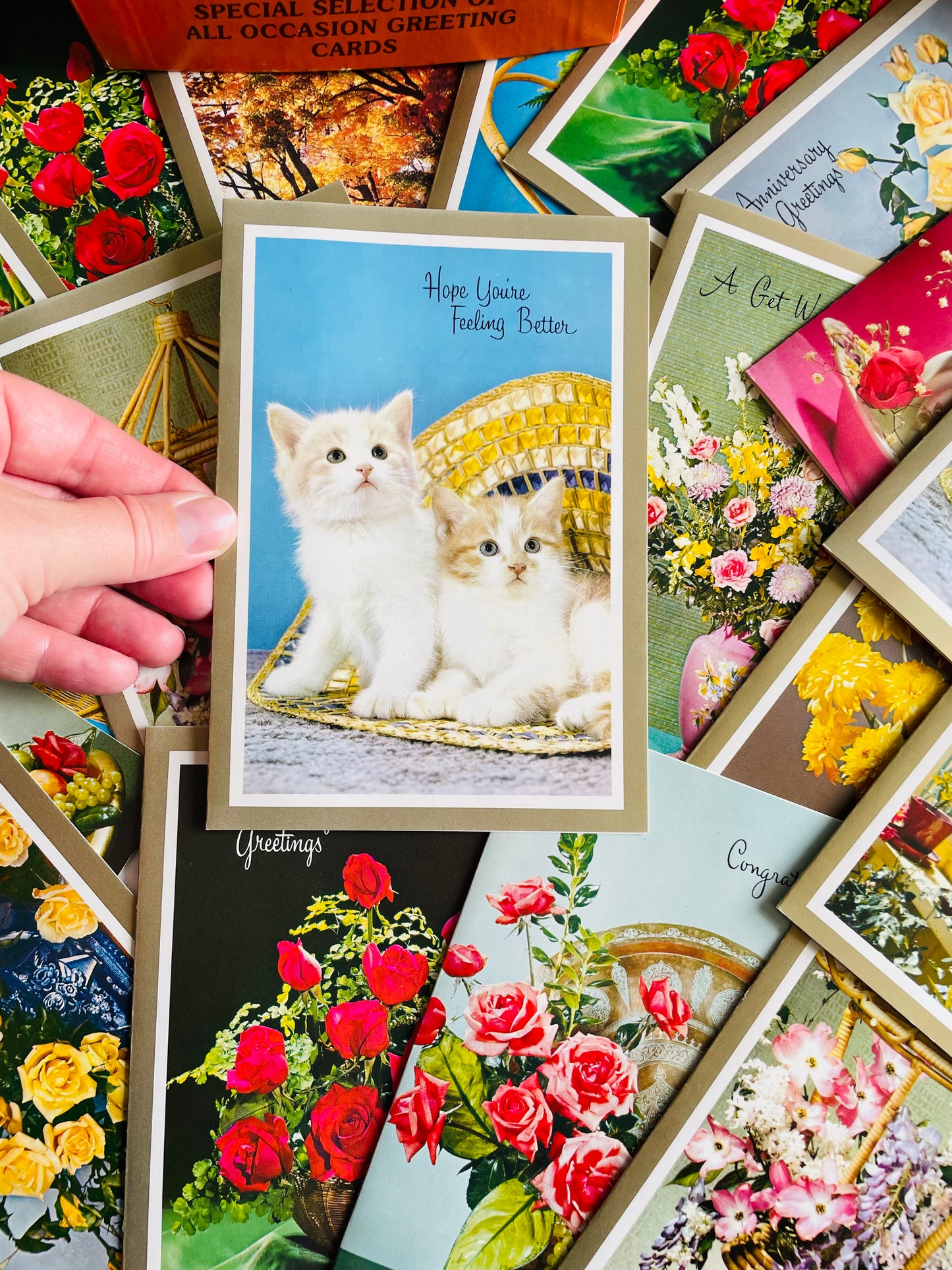Vintage Box of Unused Assorted Greeting Cards for All Occasions - Floral, Kitten & Nature Theme - Set of 18 with Envelopes