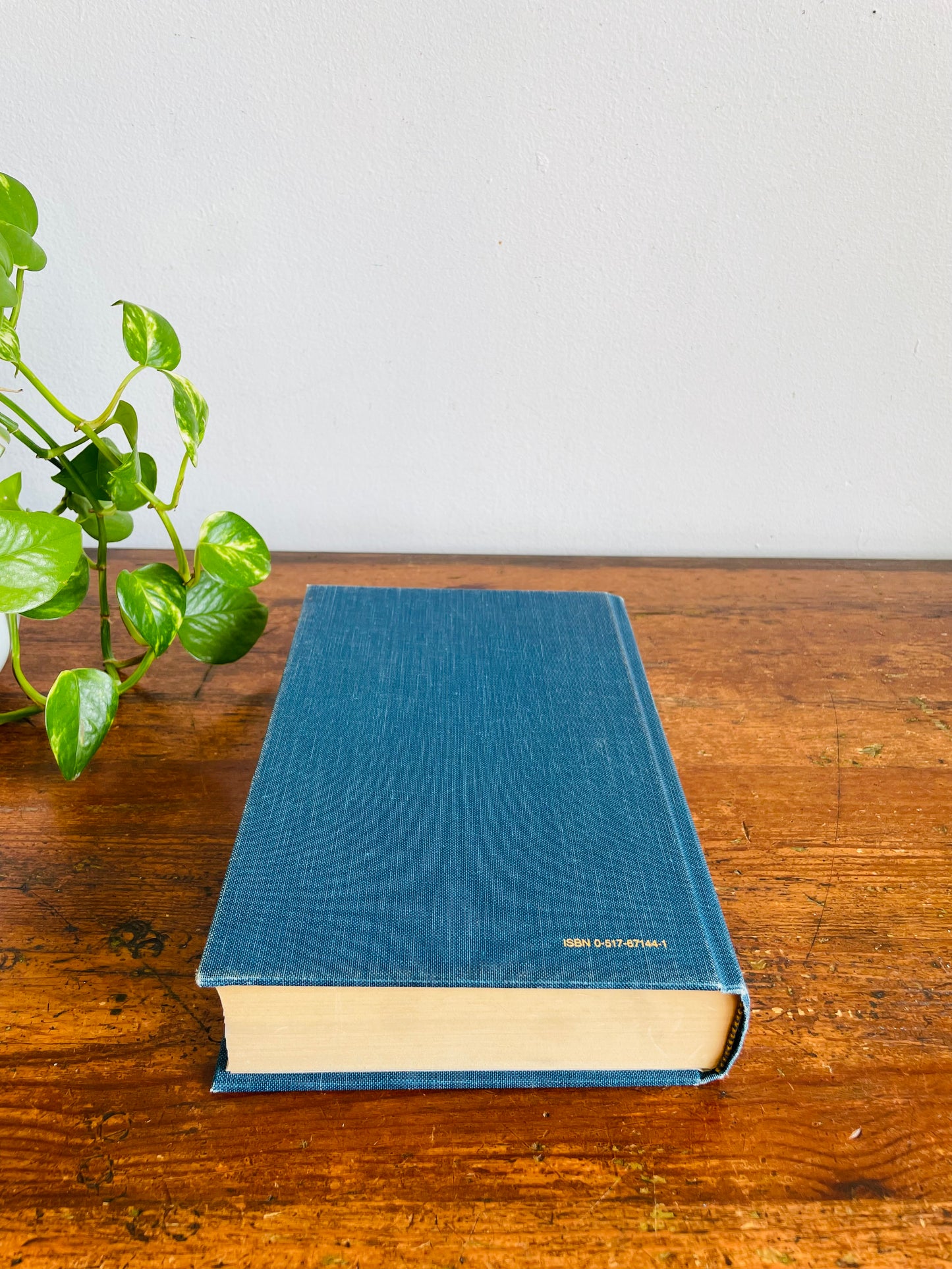 Vintage Jack London Compilation Hardcover Book - The Call of the Wild, White Fang, The Sea-Wolf & 40 Short Stories (1980)