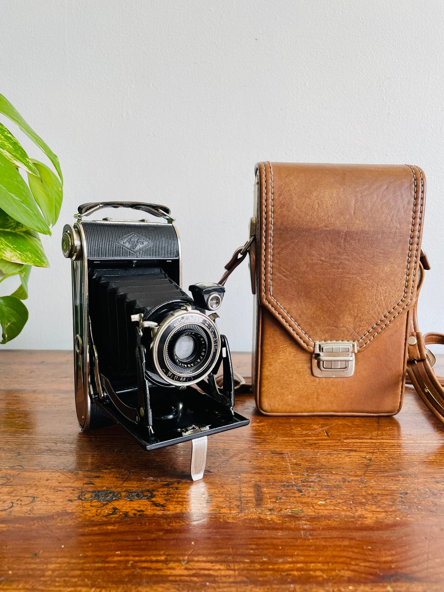 Agfa Billy Record 8.8 Folding Film Camera with Brown Carry Case - Produced Between 1933 to 1942