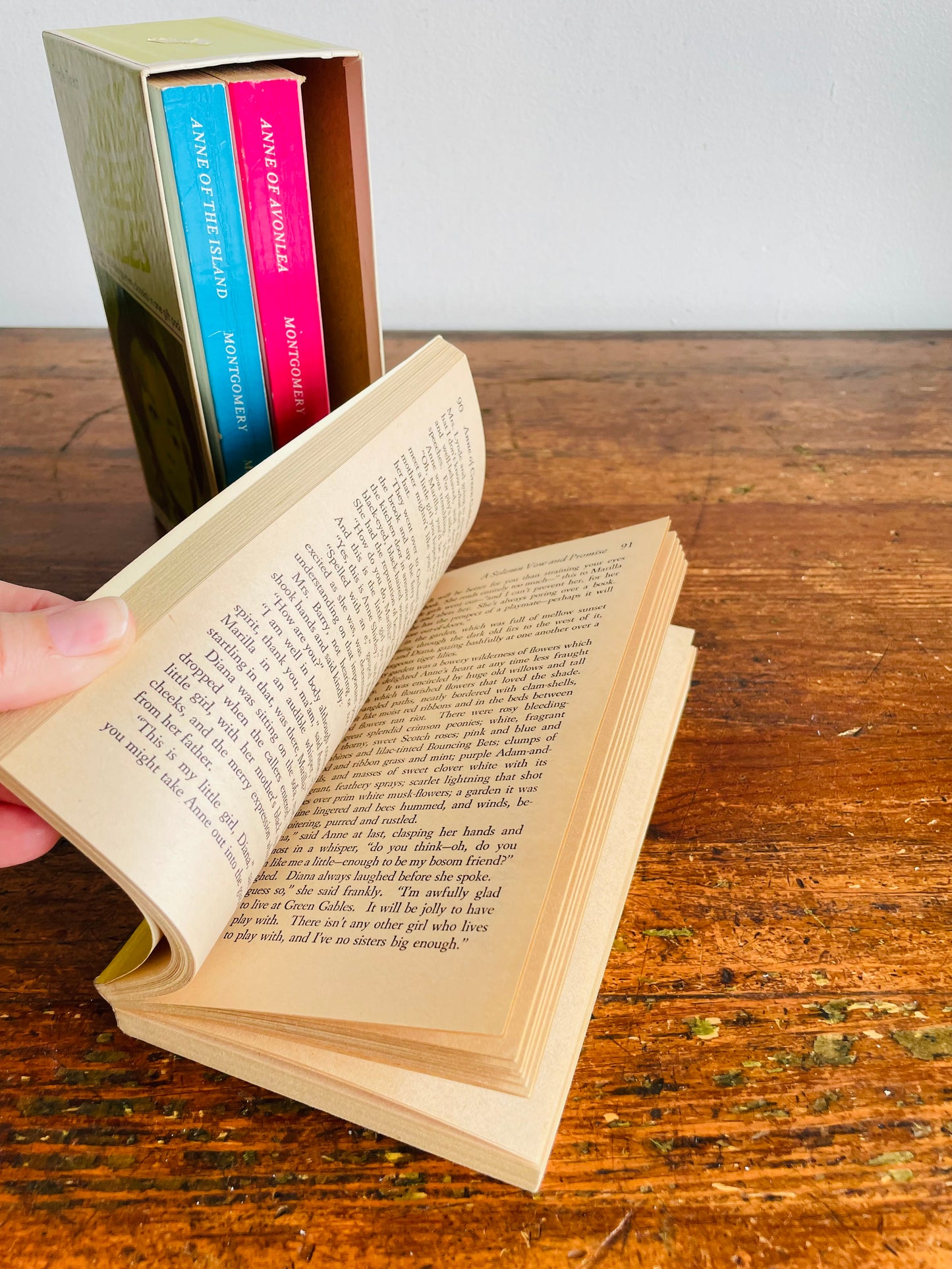 Vintage Anne of Green Gables Paperback Book Box Set - Includes 3 Books - Anne of Avonlea & Anne of the Island (1968)