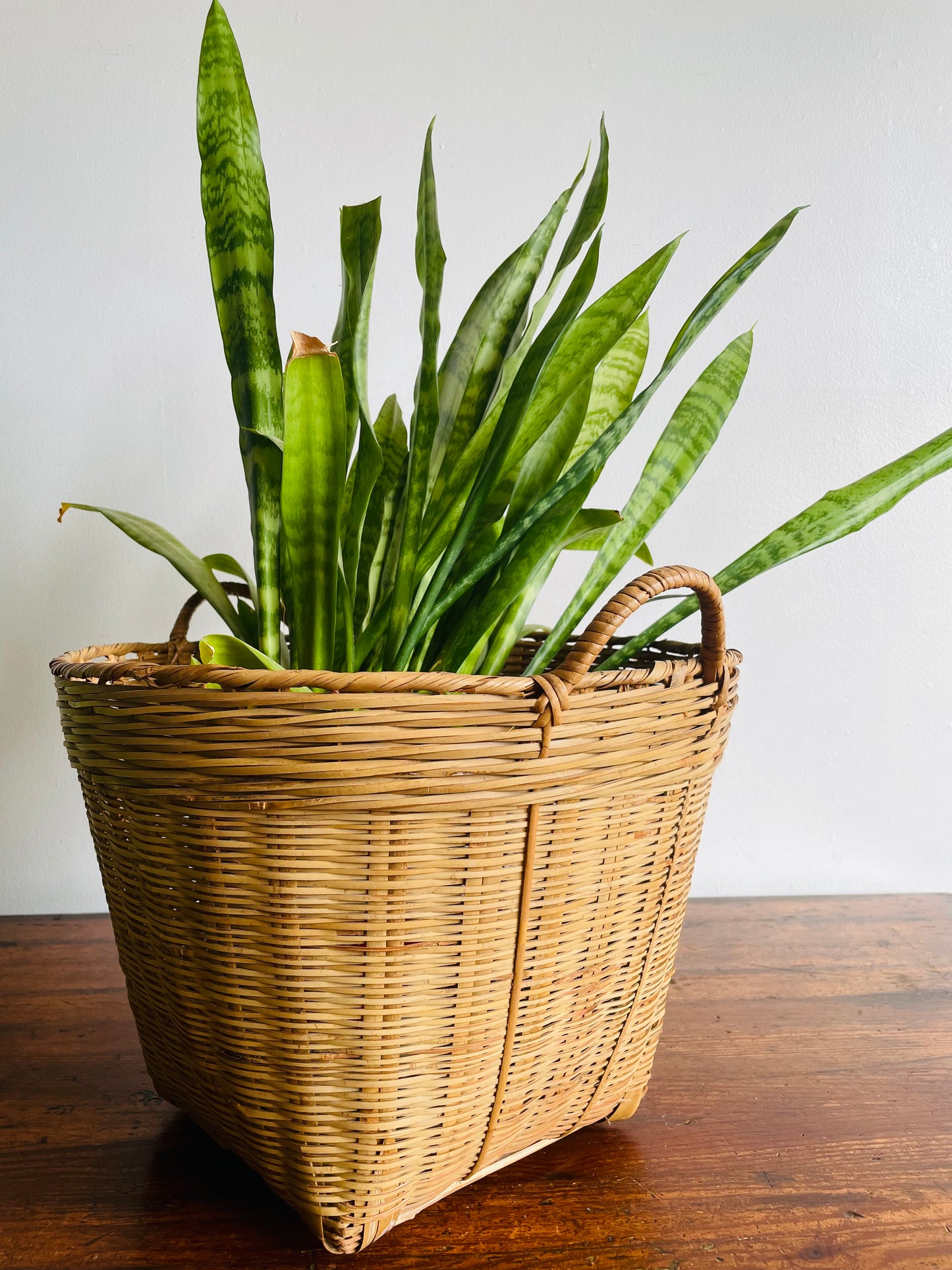 Large Wicker & Bamboo Square Base Basket with Handles - Makes a Great Plant Holder!