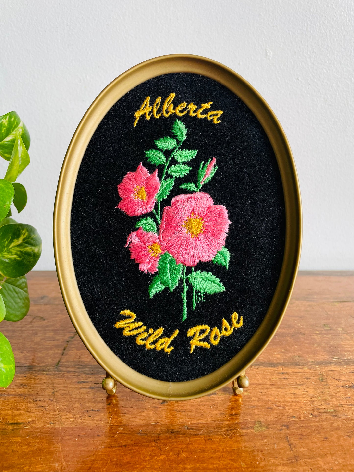 Vintage Alberta Wild Rose Embroidery on Black Velvet Oval Framed Picture