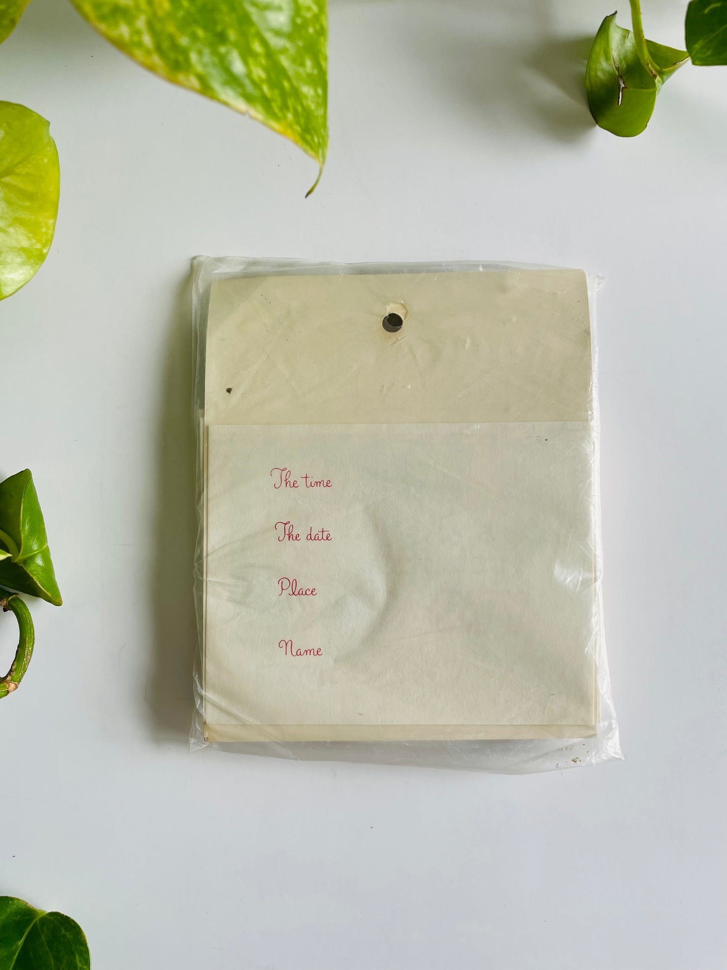 Vintage Brand New Package of 12 Invitation / Invite Cards - It's a Birthday Party - Neighborly Notes by Warwick - Made in Canada