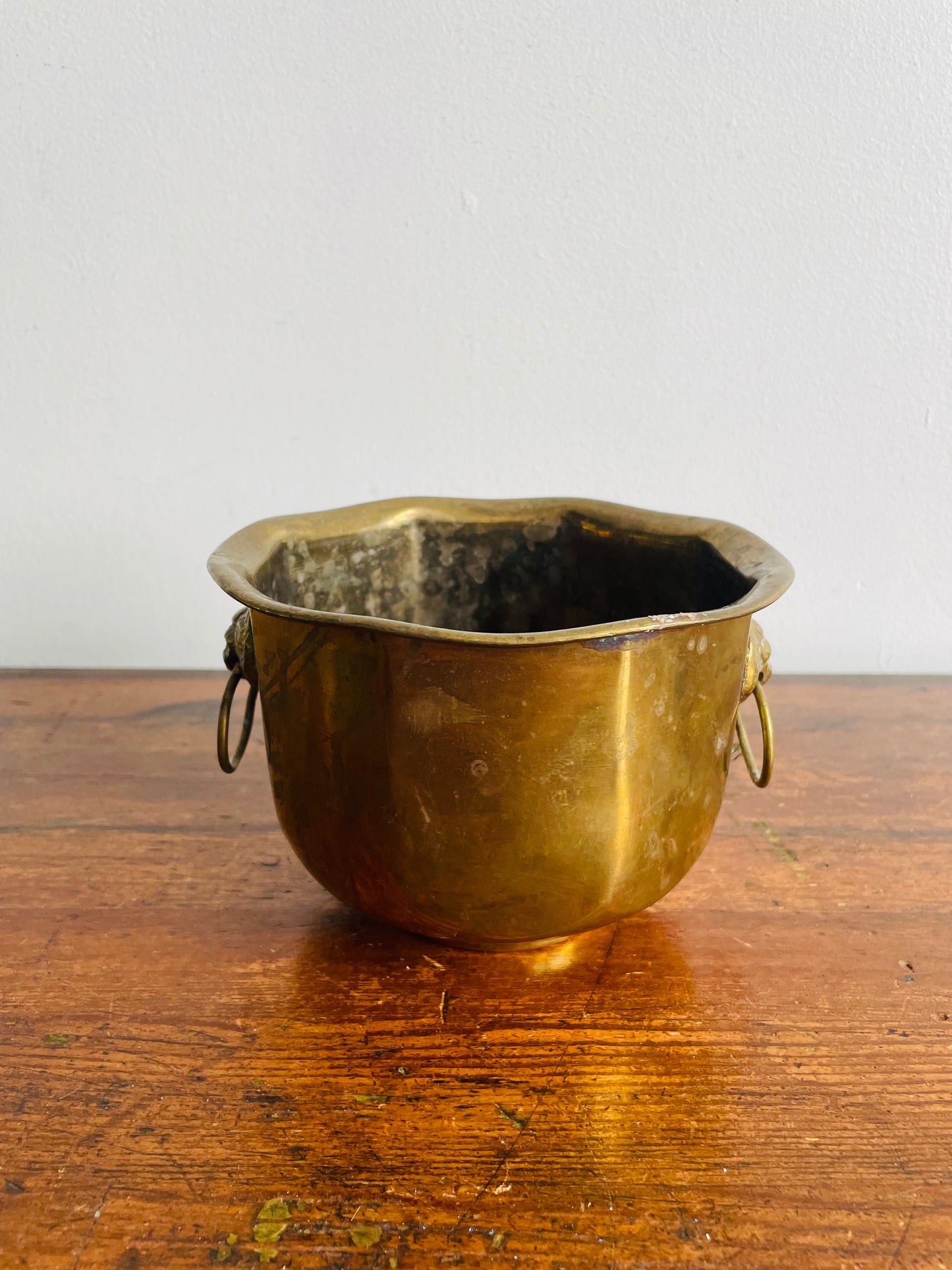 Brass Planter Pot with Lion Head Handles - Made in India