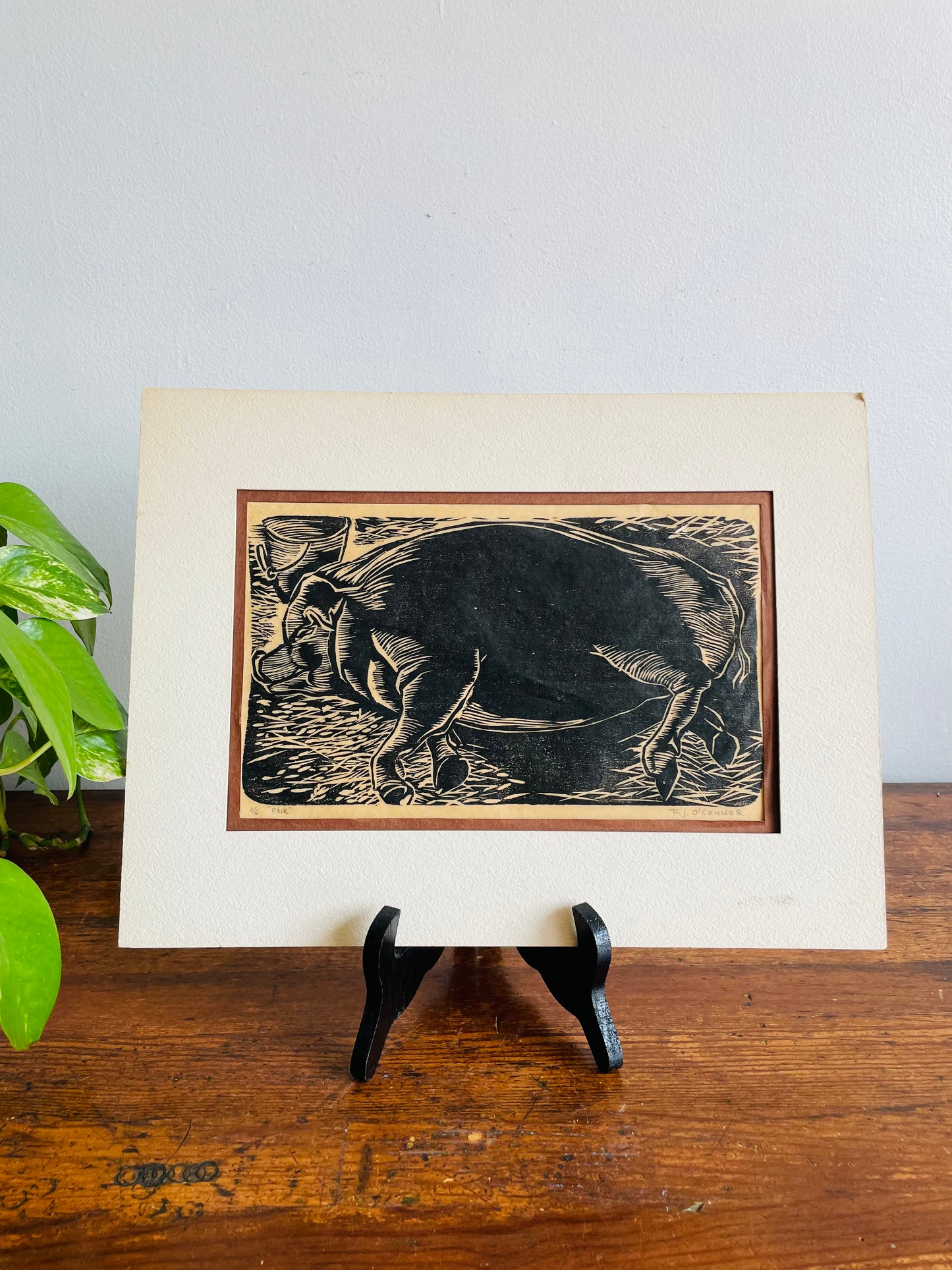 Matted Woodcut Print Picture of Prize Sow Pig - Signed & Numbered - 2/6 "Fair" by F.J. O'Connor