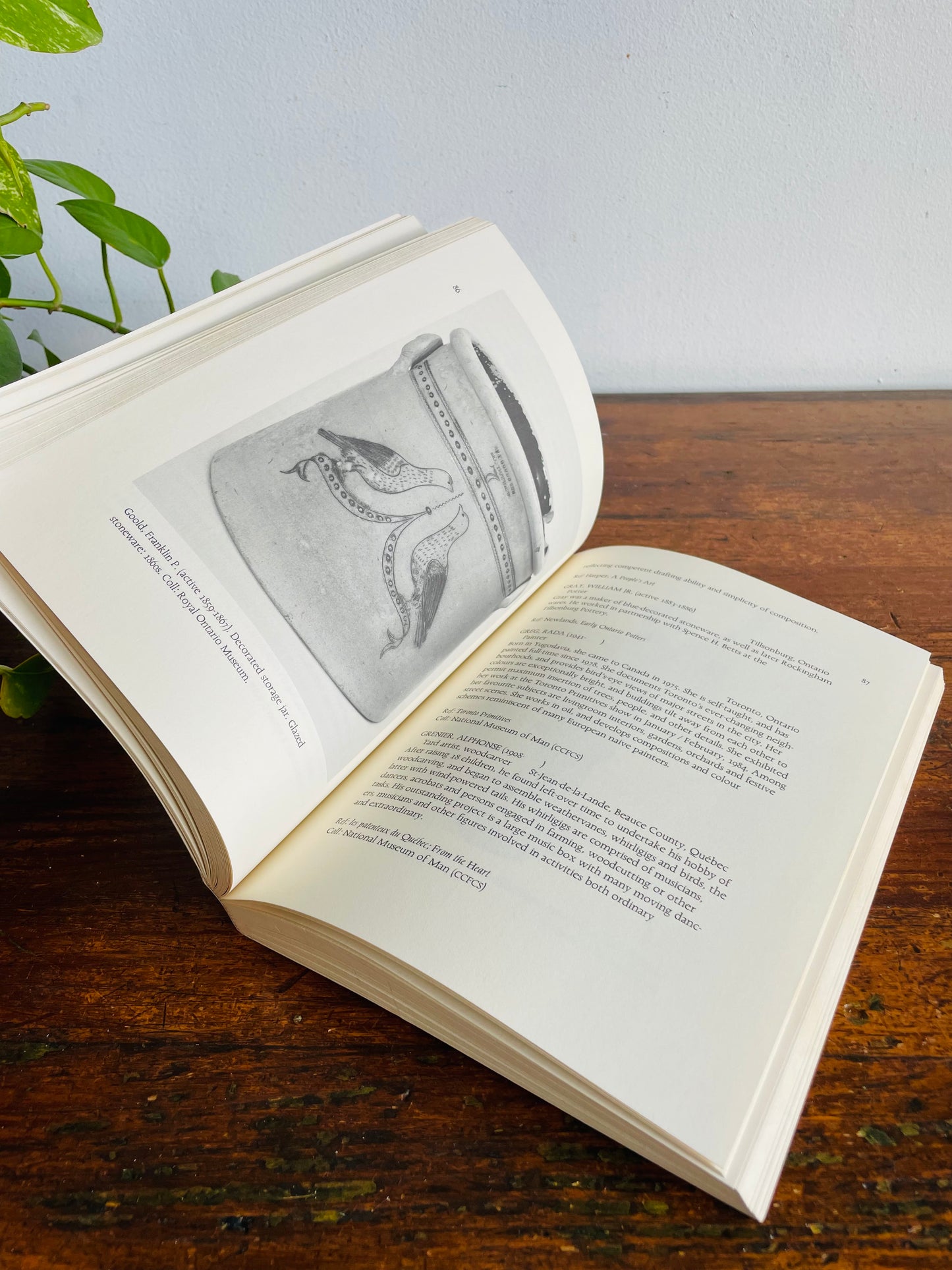 Vintage A Compendium of Canadian Folk Artists Book by Terry Kobayashi & Michael Bird (1985)