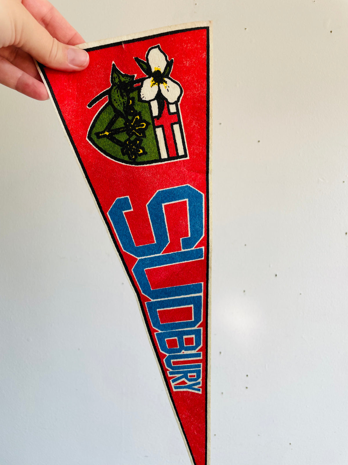 Vintage Sudbury Ontario Canada Pennant Flag
