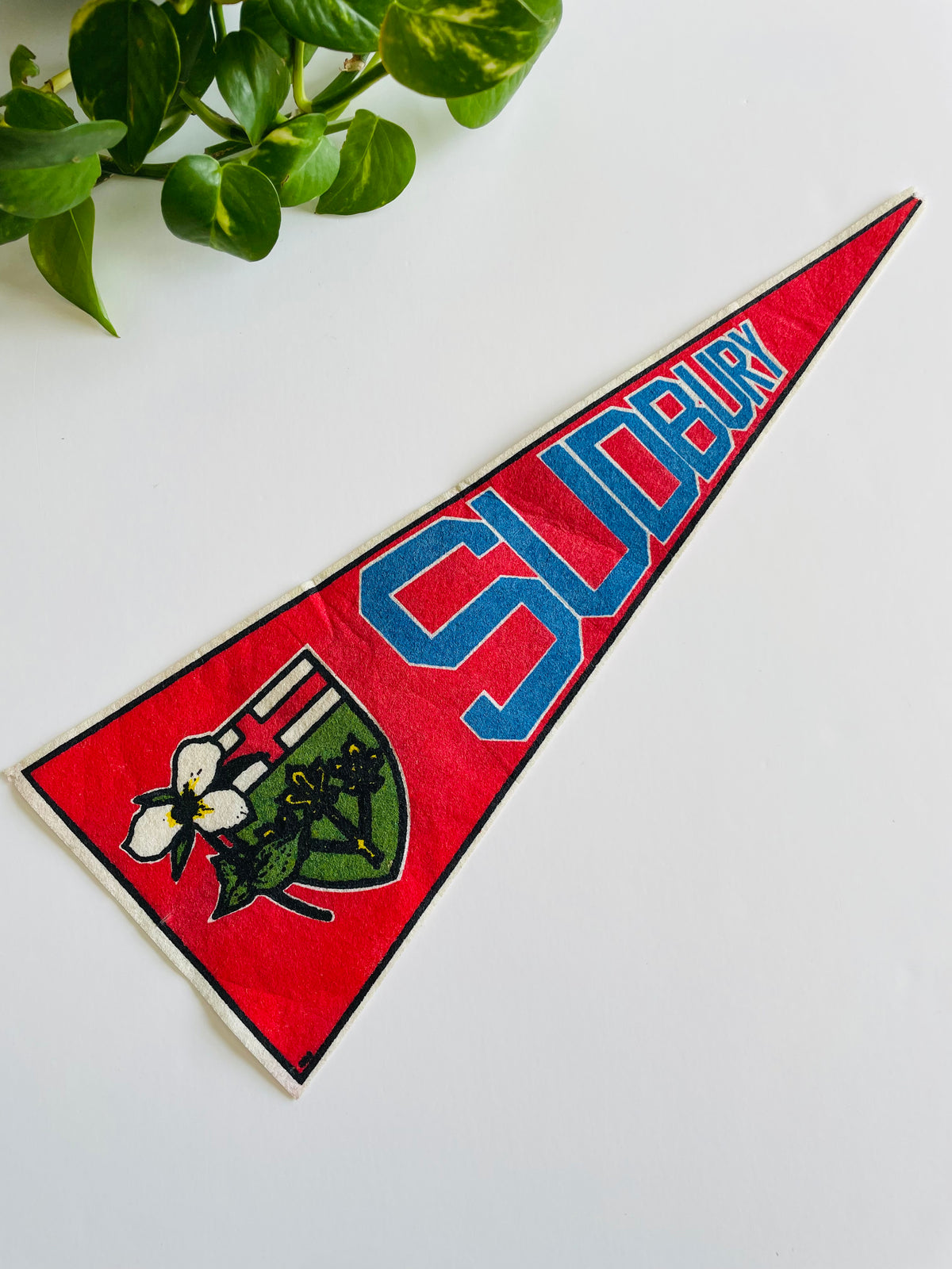 Vintage Sudbury Ontario Canada Pennant Flag