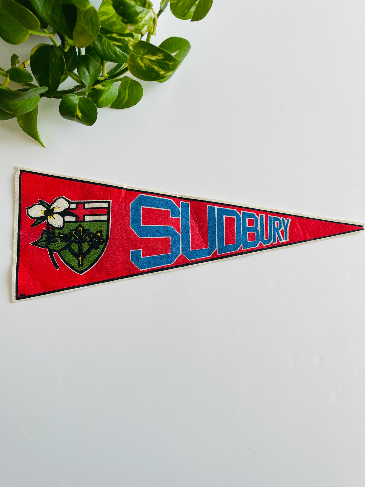 Vintage Sudbury Ontario Canada Pennant Flag