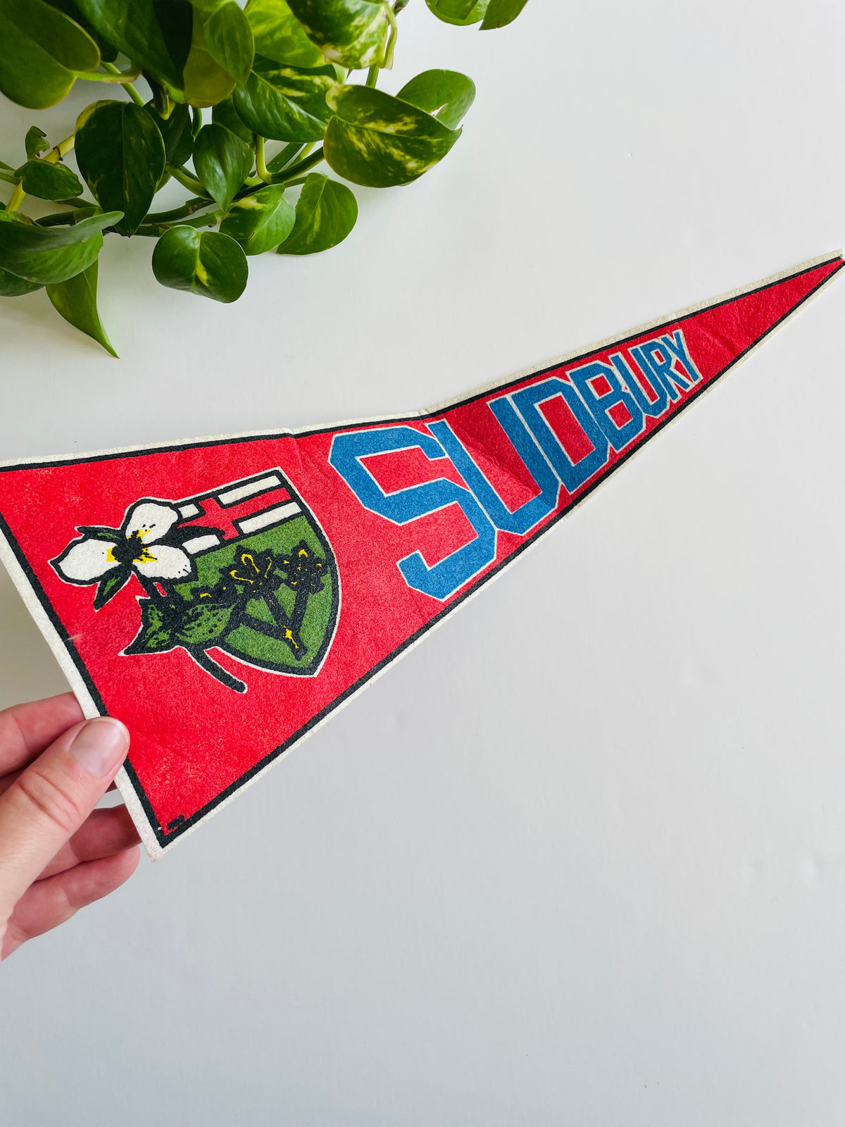 Vintage Sudbury Ontario Canada Pennant Flag