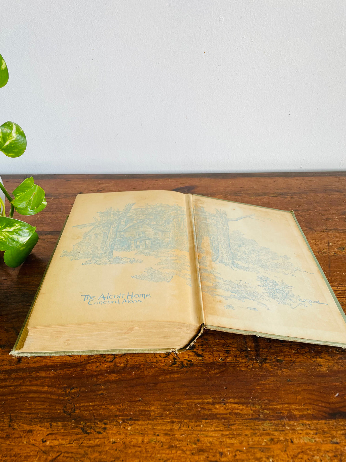 Vintage Little Men by Louisa May Alcott Hardcover Book (1928) - The John C. Winston Company - Illustrated by Clara M. Burd