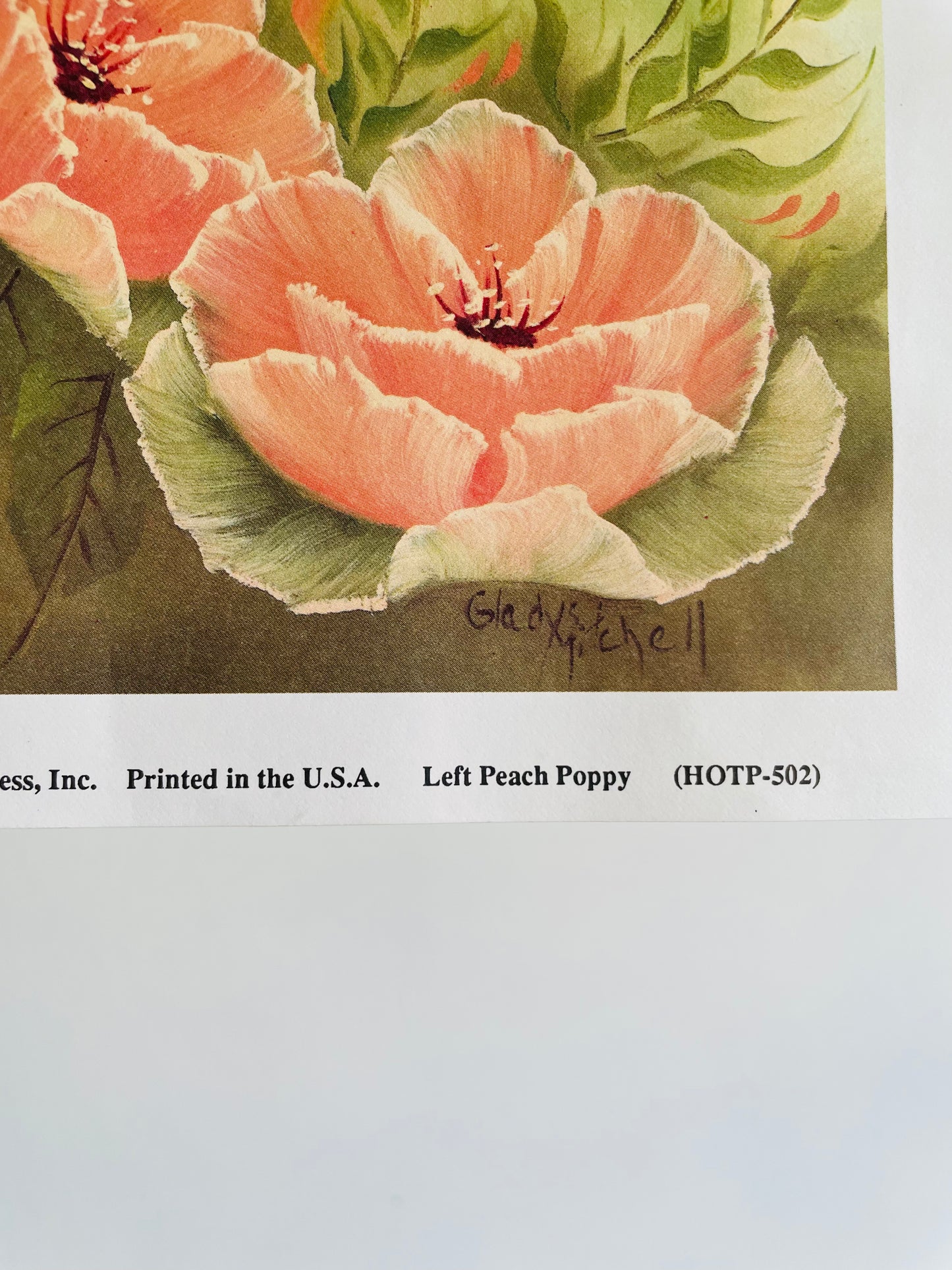 Peach Poppies by Gladys Mitchell (1989) Hot Off The Press Inc. - Floral Lithograph Print Ready for Framing!