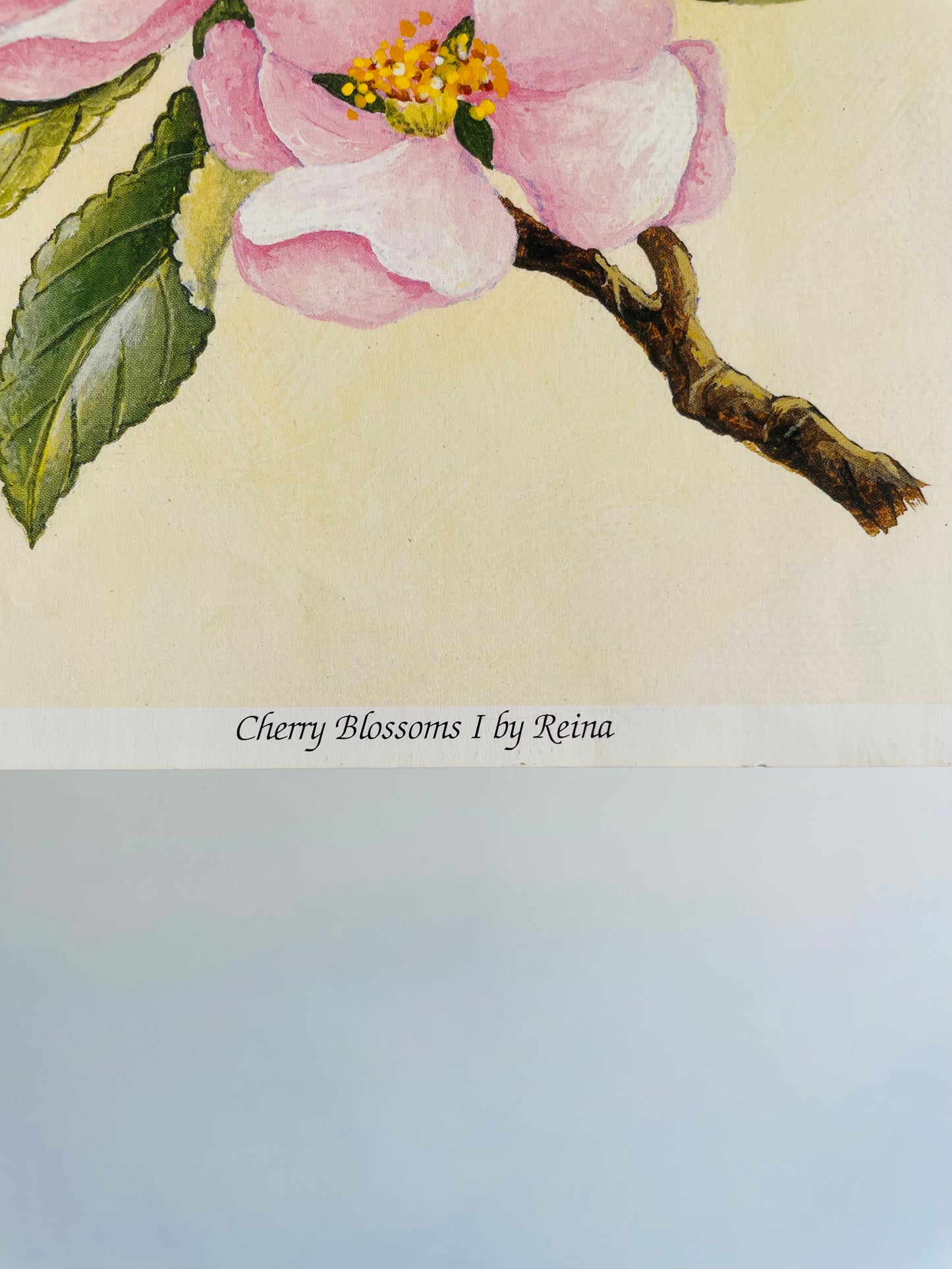 Cherry Blossoms I by Reina (2004) Manor Art  - Floral Lithograph Print Ready for Framing!