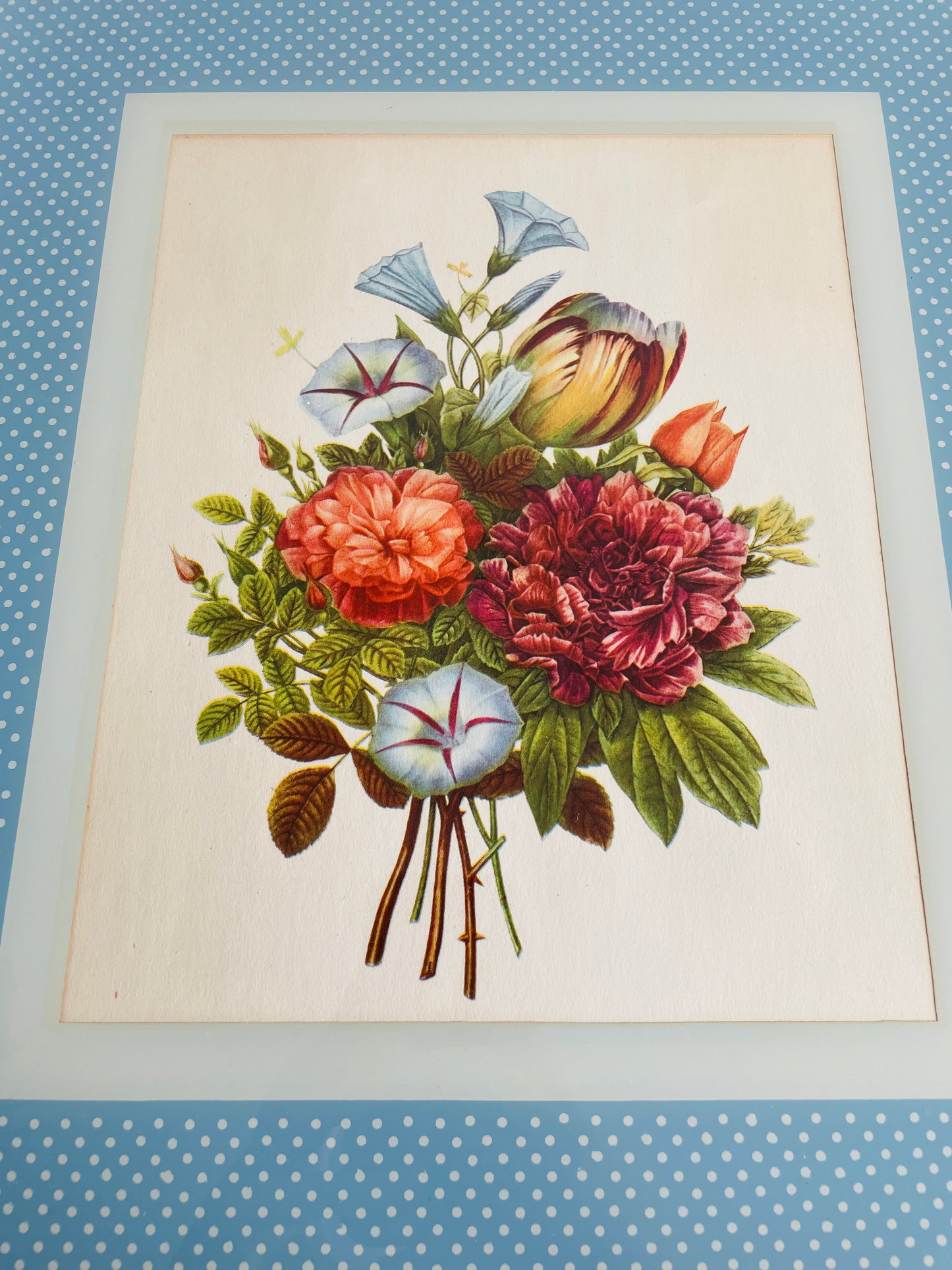 Framed Bouquet of Flowers - Botanical Print by J.L. Prevost