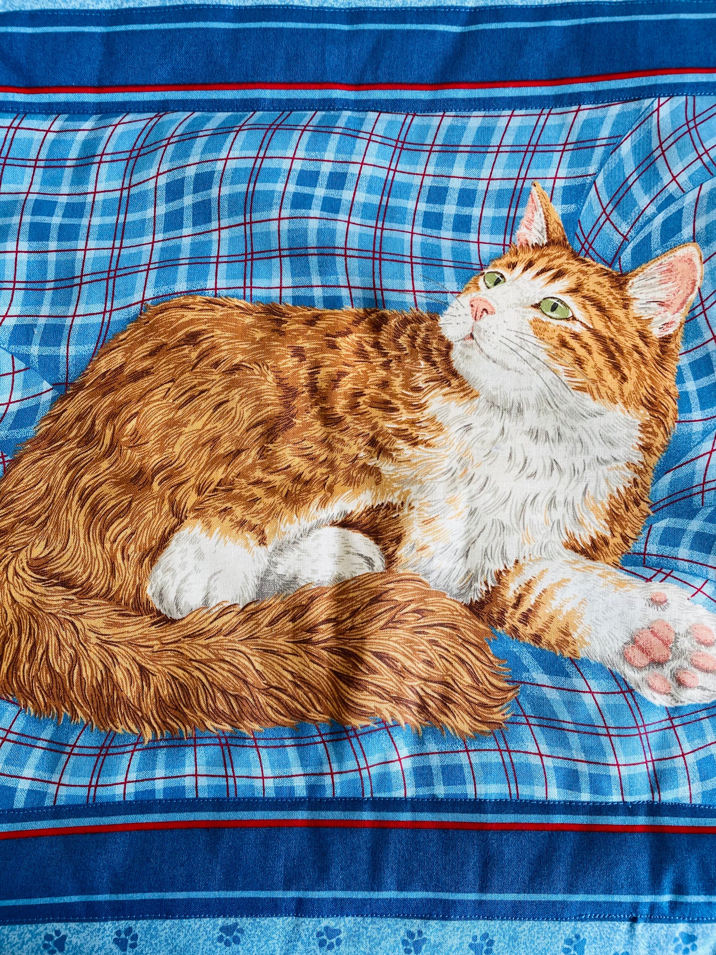 Orange & White Cat Pillowcase Cushion Cover