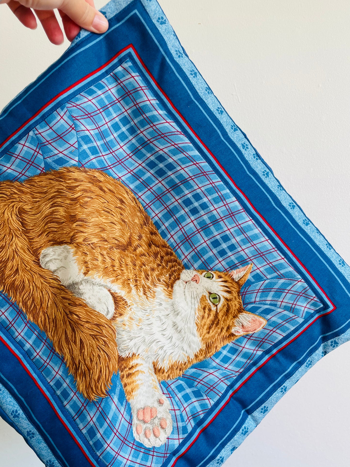 Orange & White Cat Pillowcase Cushion Cover