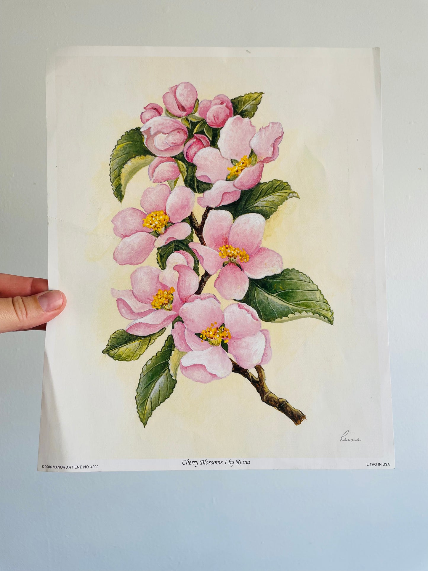 Cherry Blossoms I by Reina (2004) Manor Art  - Floral Lithograph Print Ready for Framing!