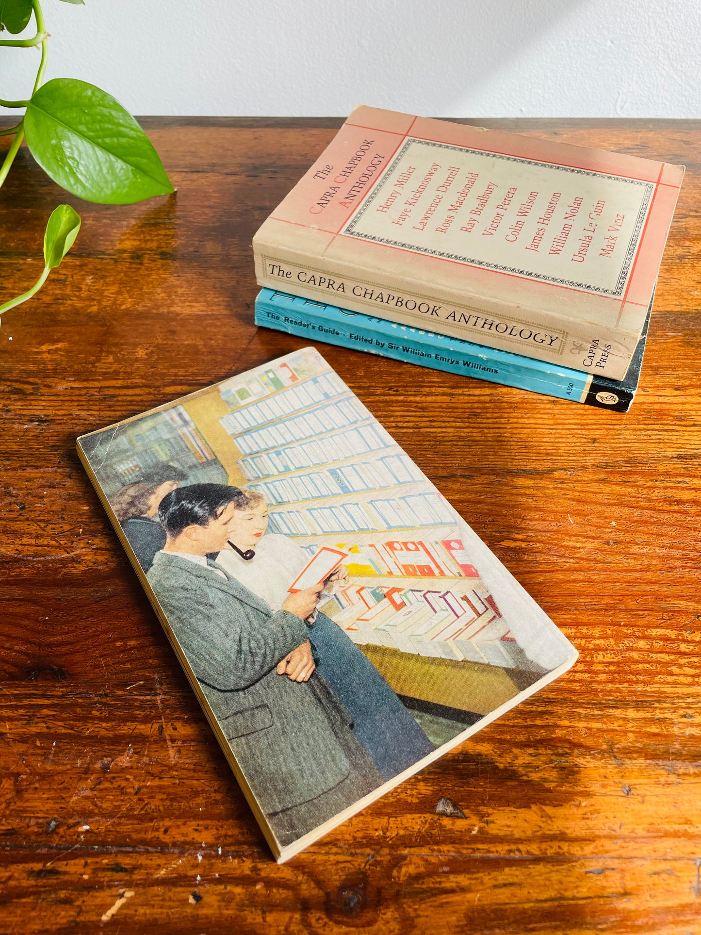 Literature Vintage Book Bundle - Capra Chapbook, Reader's Guide, Penguin Publishing History