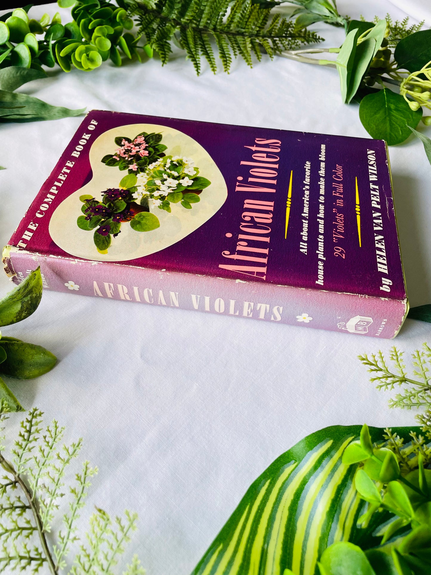 African Violets Hardcover Book by Helen Van Pelt Wilson (1952)