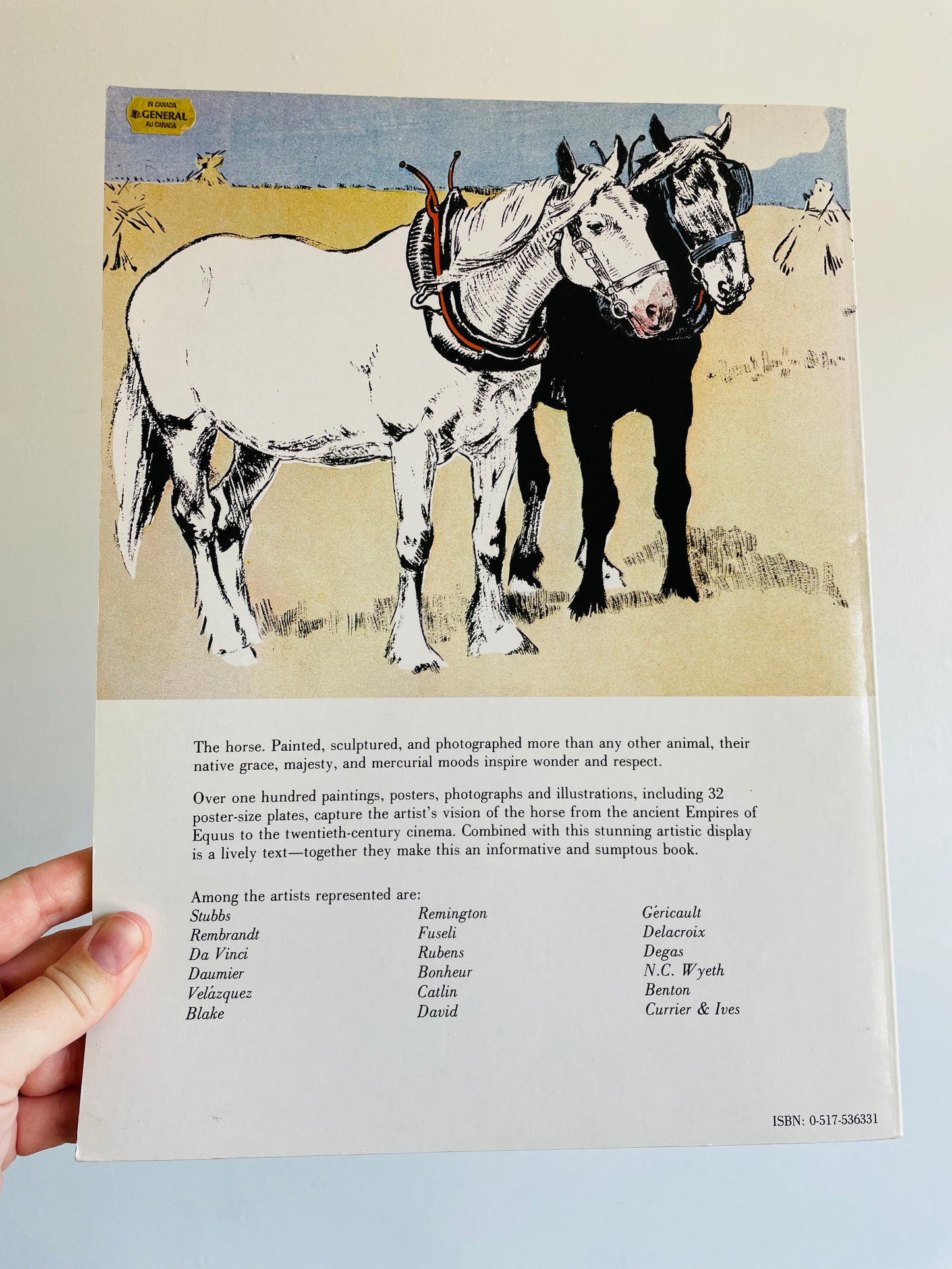 The Illustrated Horse Book by Jean-Claude Suares & Charles Stephen (1979)