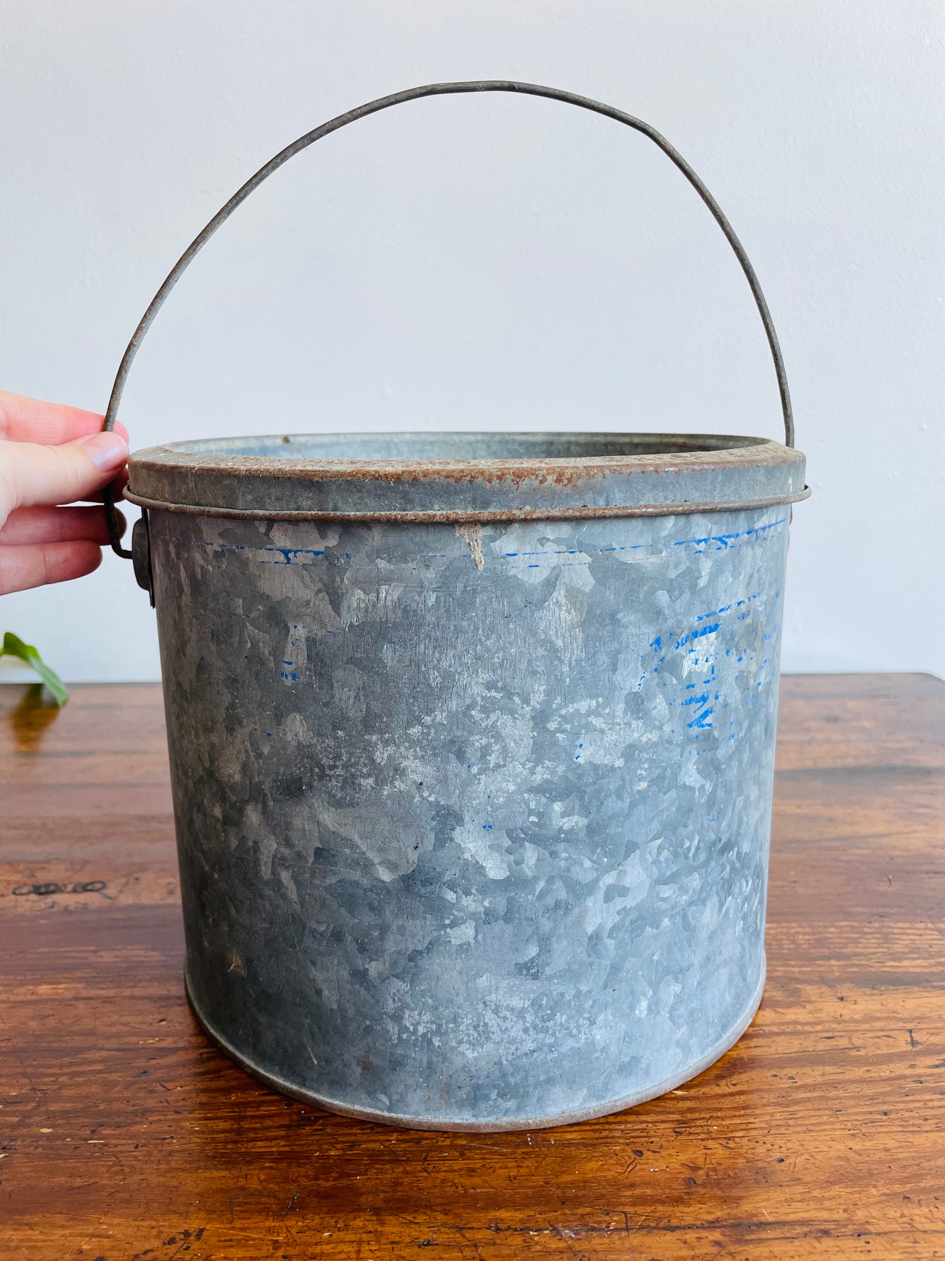 Vintage . Black Oval Bait Bucket Galvanized Minnow Bucket Wood Handle -   Canada