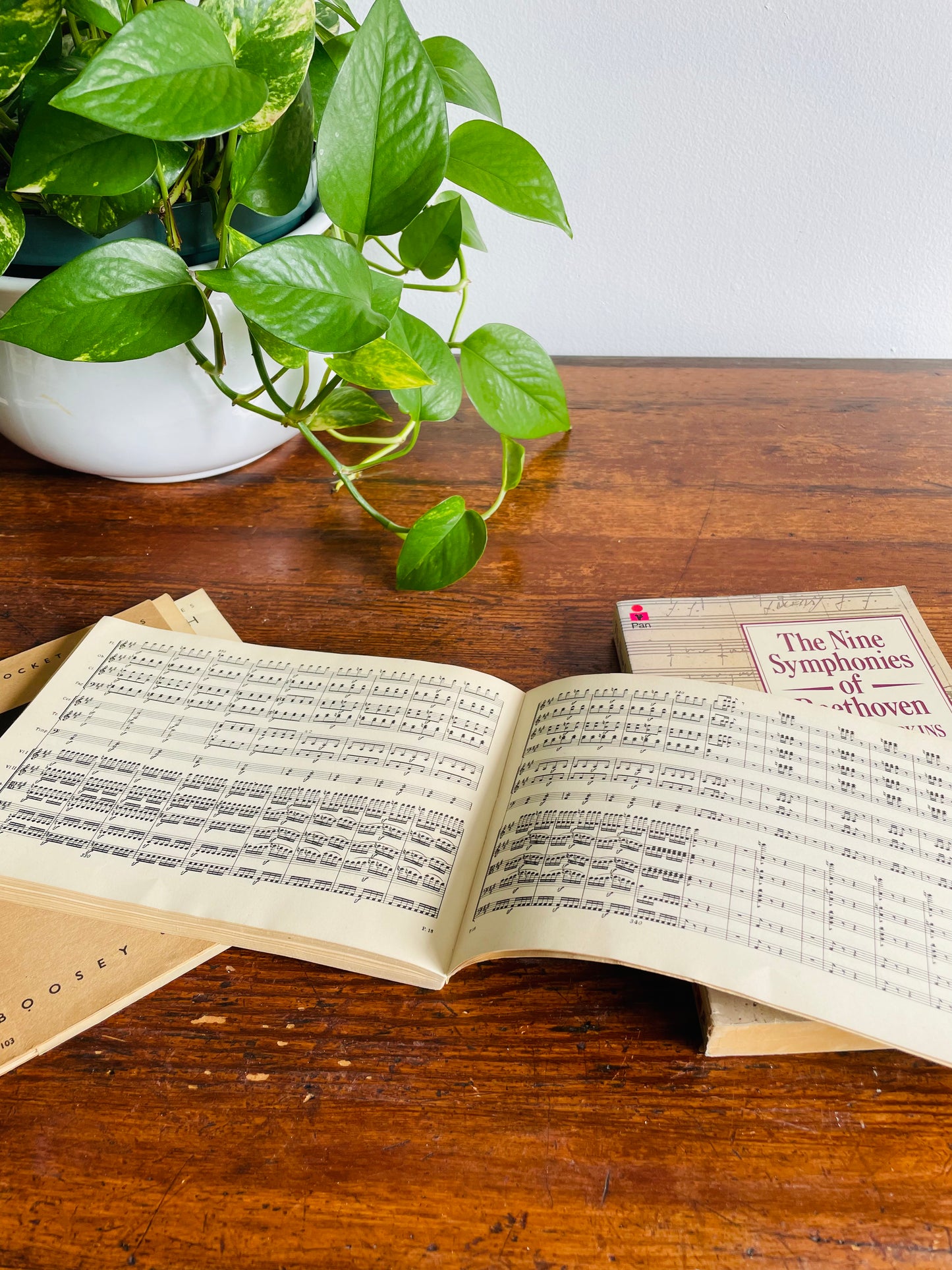 Music Vintage Book Bundle - Beethoven, Bach