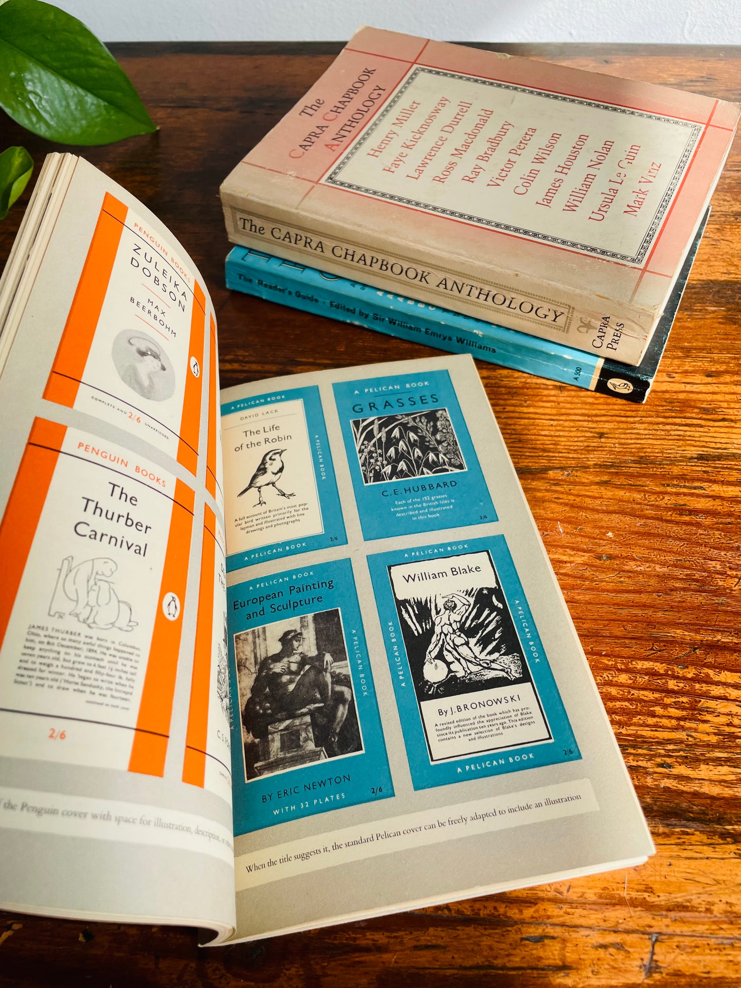 Literature Vintage Book Bundle - Capra Chapbook, Reader's Guide, Penguin Publishing History