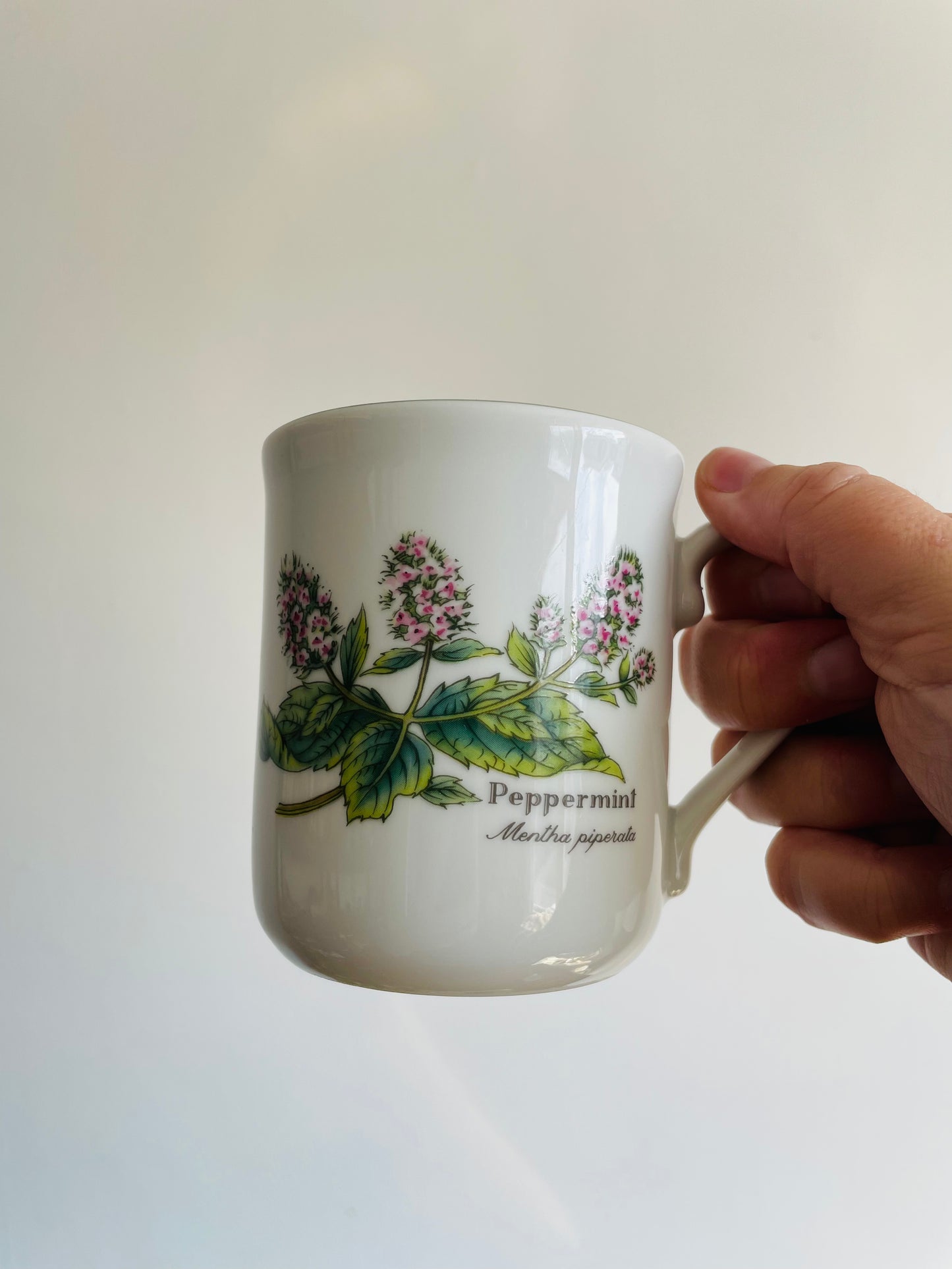 Royal Worcester Fine Porcelain - Worcester Herbs Peppermint & Rosemary Mug # 1- 1990 England