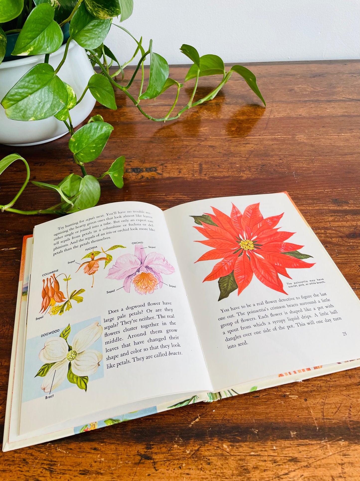 Flowers and What They Are by Mary Elting - A Whitman Learn About Book - Hardcover (1961)