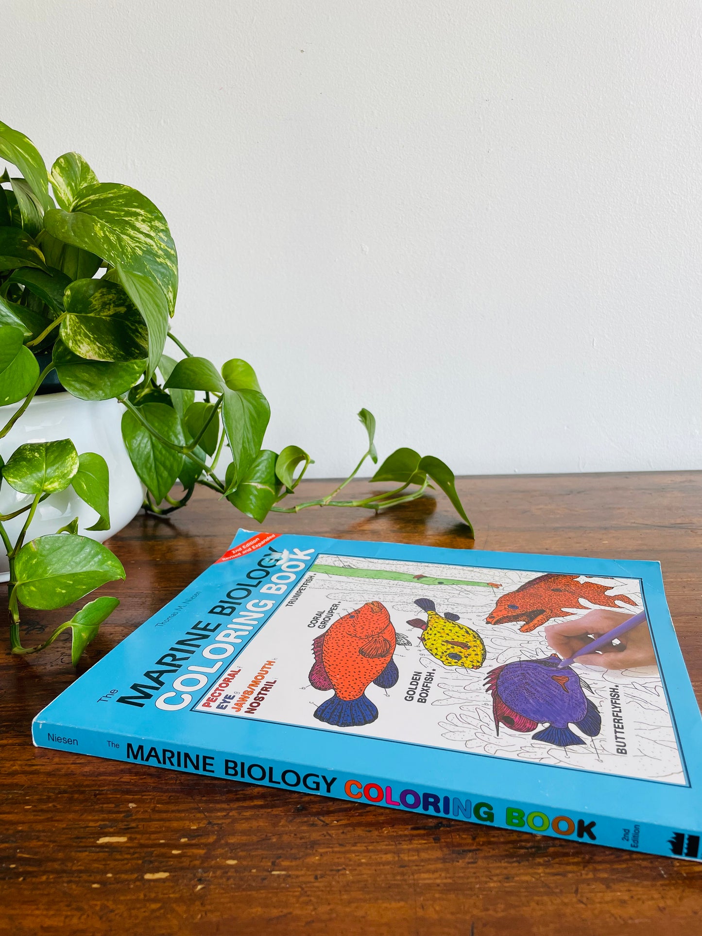 The Marine Biology Coloring Book by Thomas M. Niesen (2000)