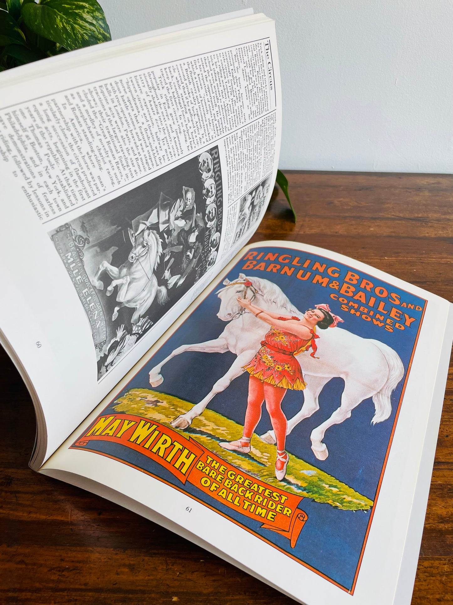 The Illustrated Horse Book by Jean-Claude Suares & Charles Stephen (1979)