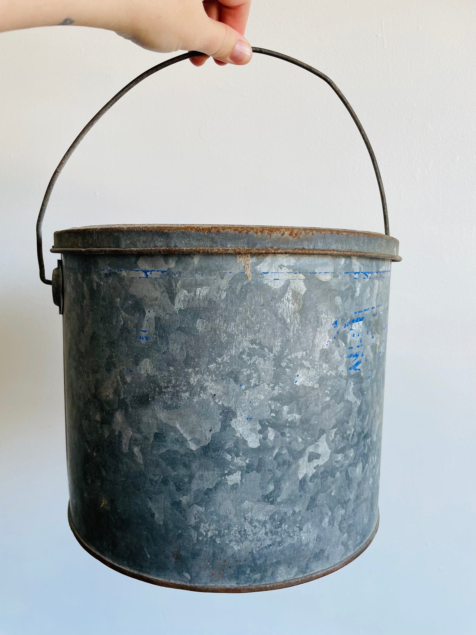 Rustic Farmhouse Metal Minnow Bucket - Perfect for Cottage or